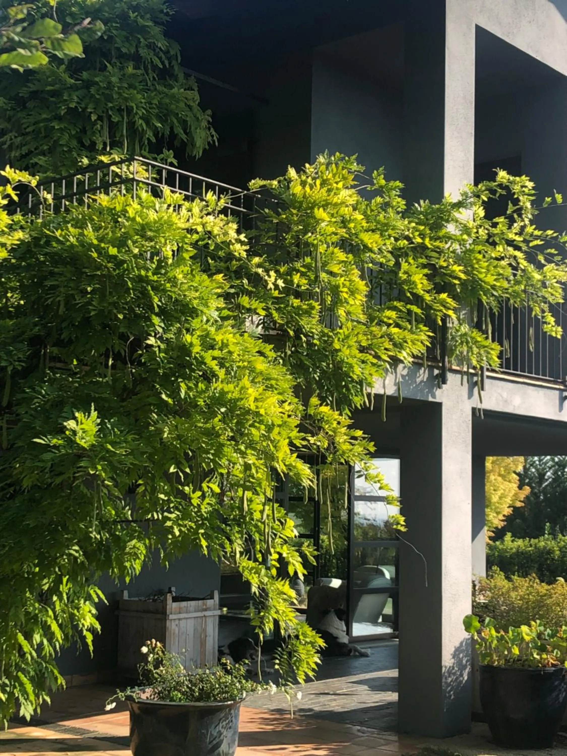 Garden in B&B Puntodivista