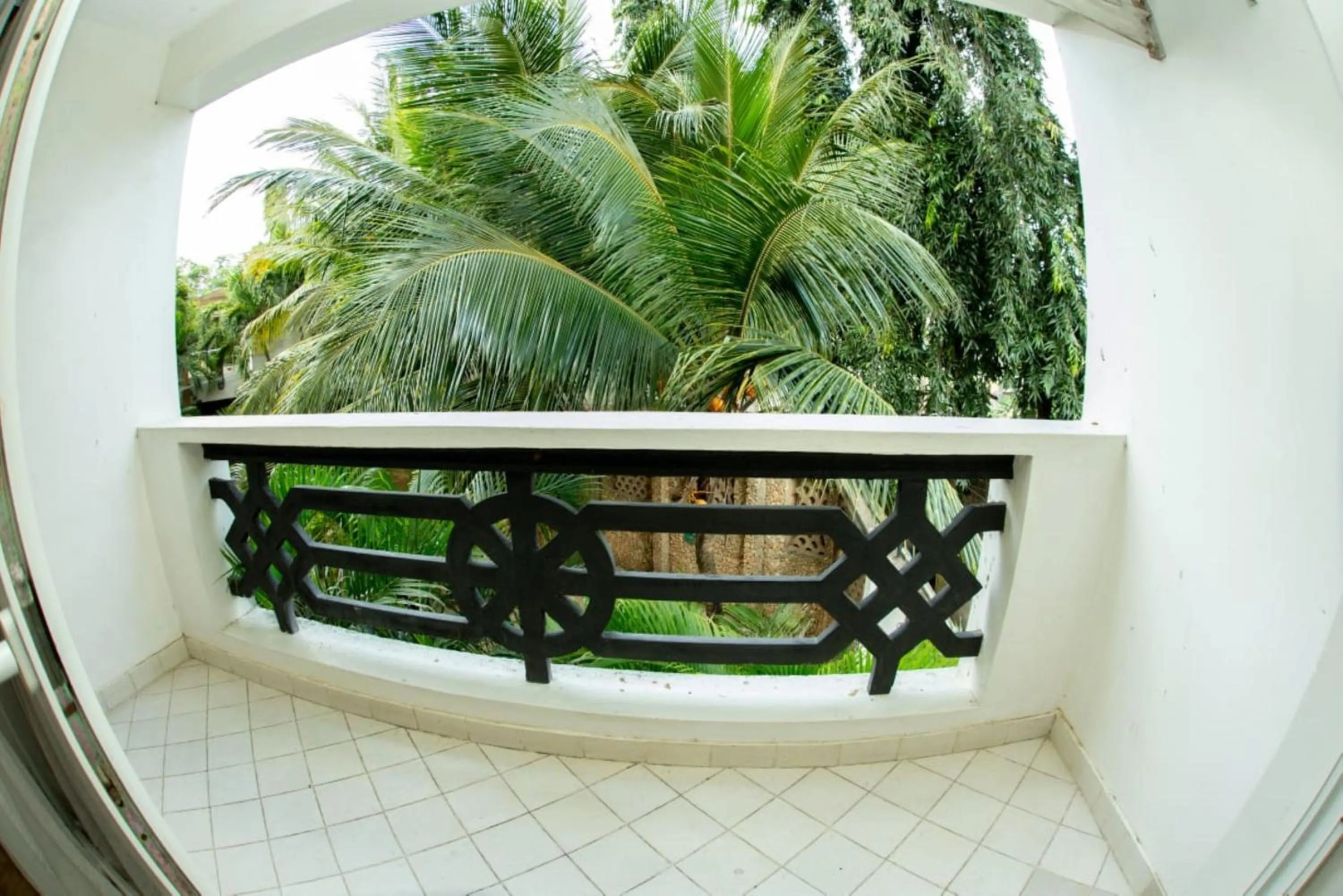 Balcony/Terrace in Gasaro Hotel