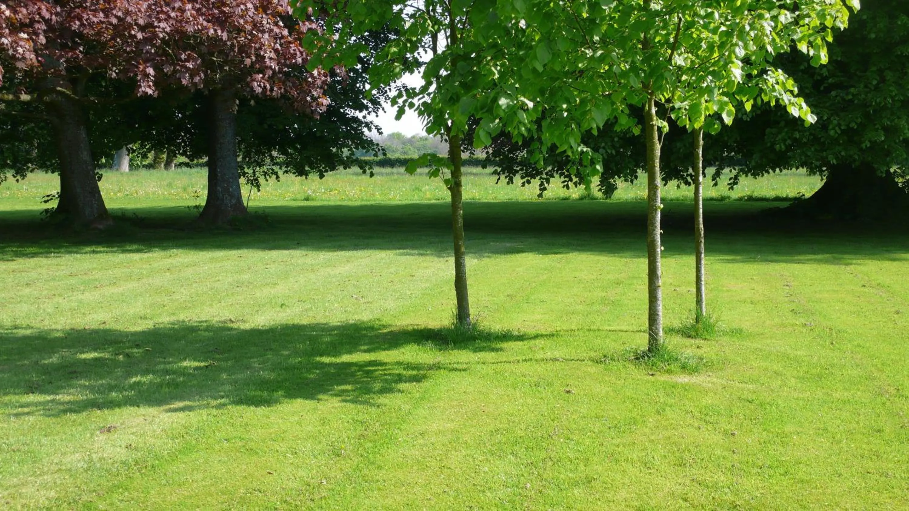 Garden in Chateau De Grosfy