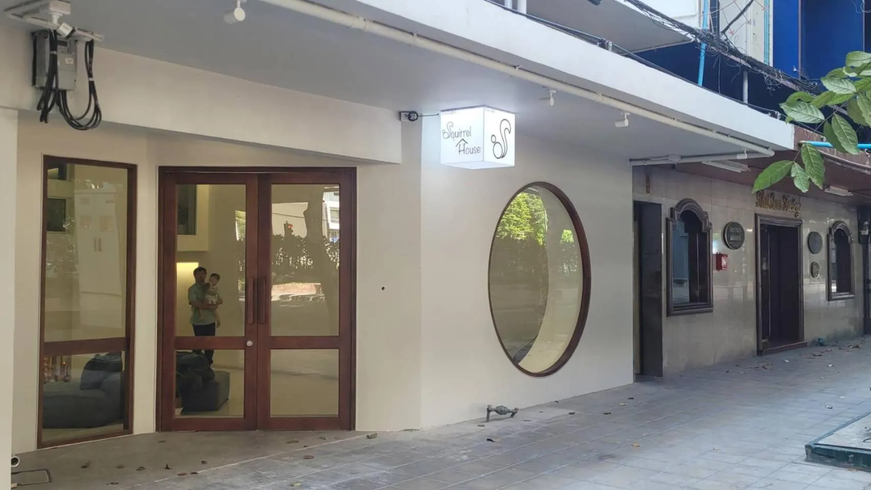 Day in Squirrel House