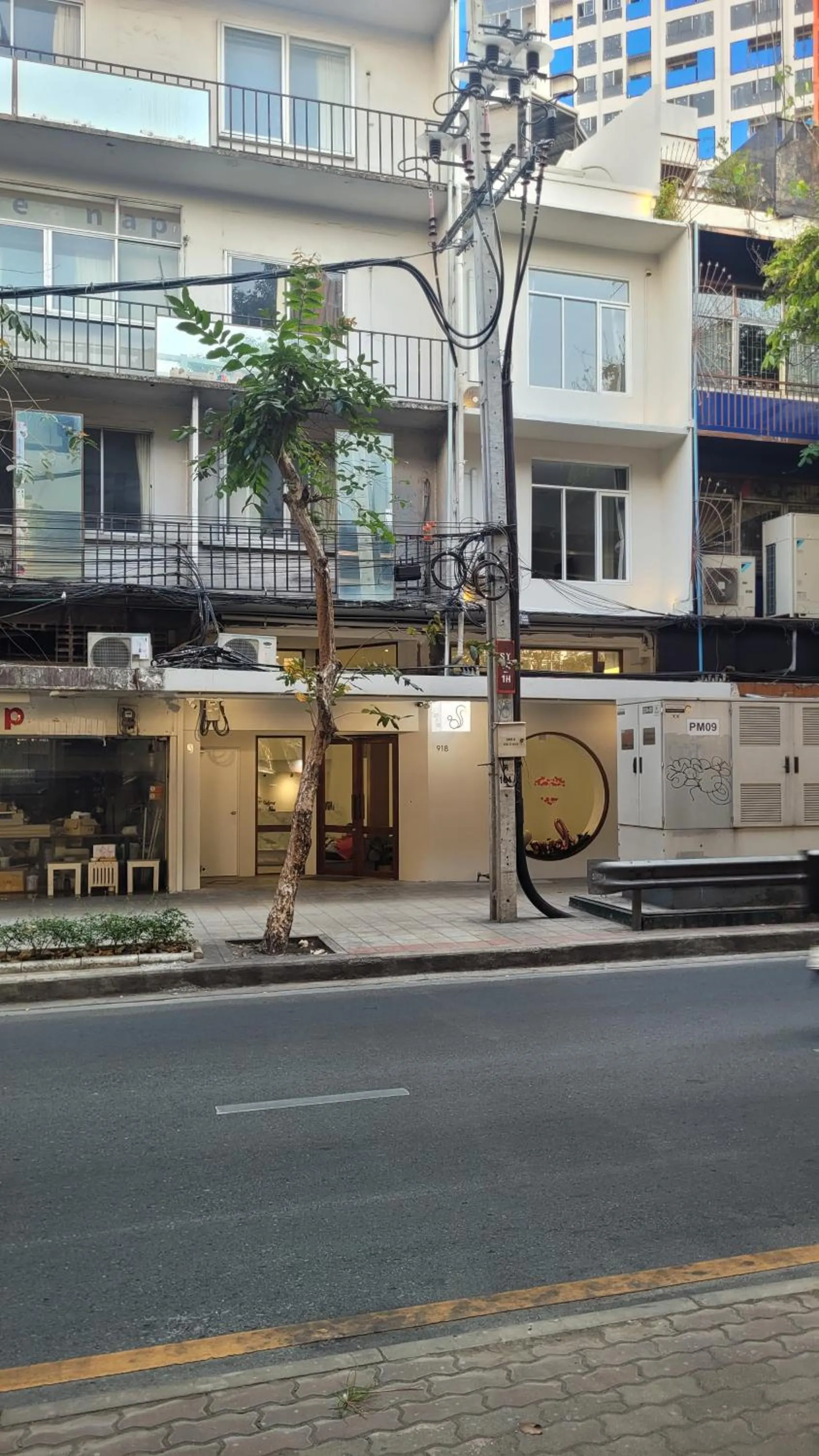 Property building in Squirrel House