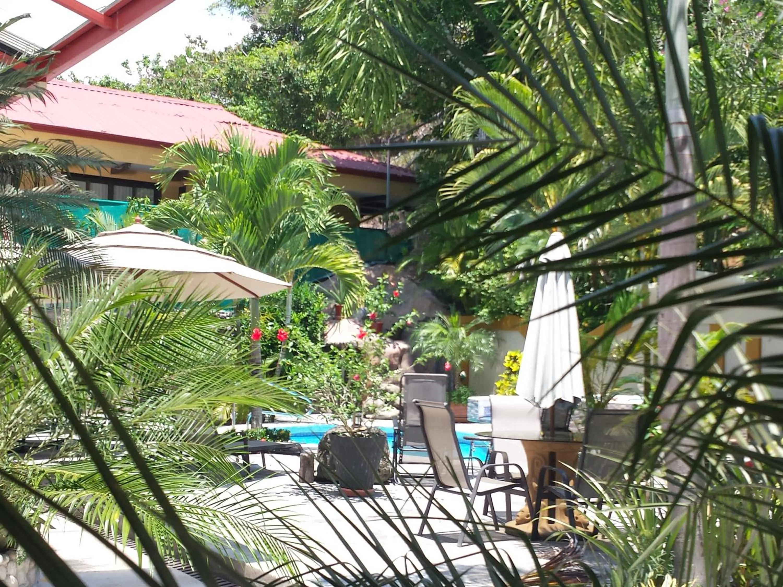 Balcony/Terrace in Coyaba Tropical Elegant Adult Guesthouse