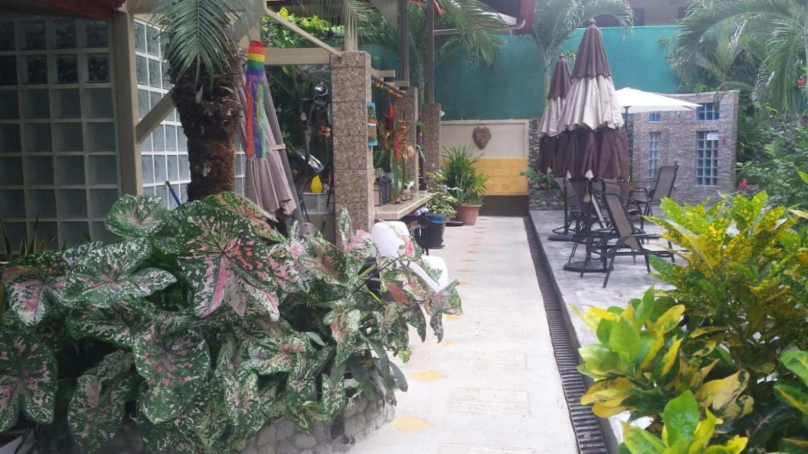 Balcony/Terrace in Coyaba Tropical Elegant Adult Guesthouse