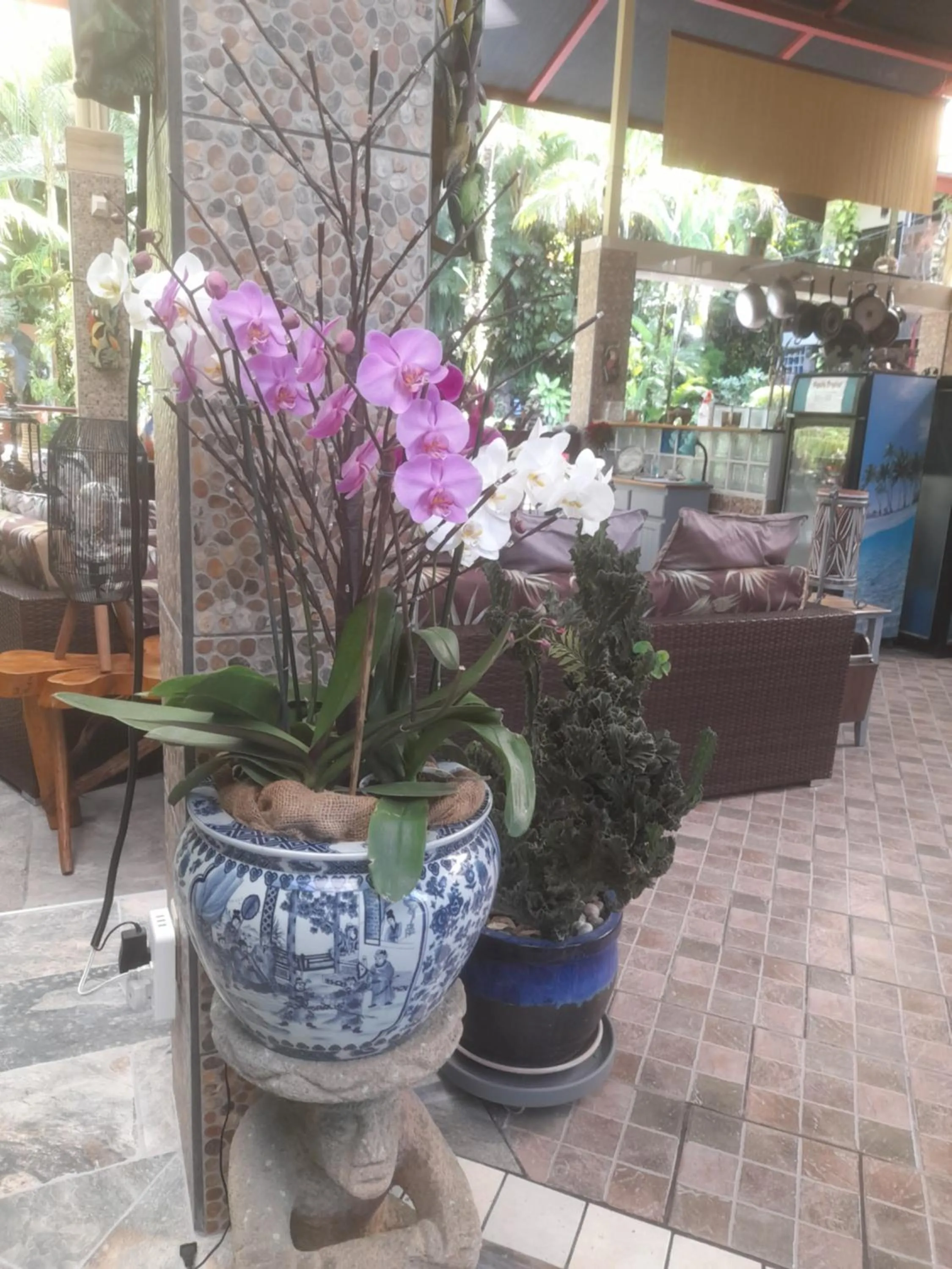 Facade/entrance in Coyaba Tropical Elegant Adult Guesthouse