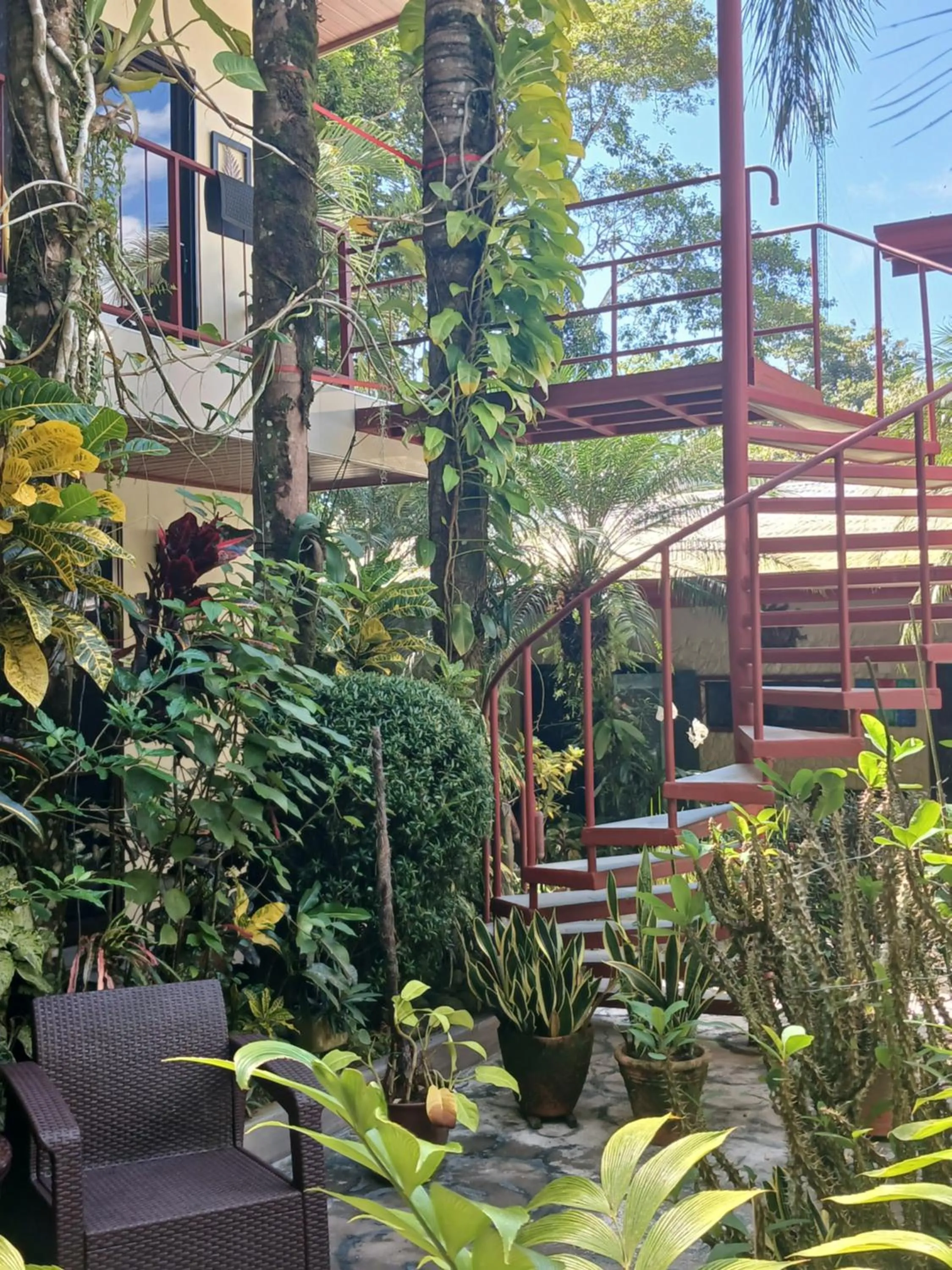 Facade/entrance in Coyaba Tropical Elegant Adult Guesthouse