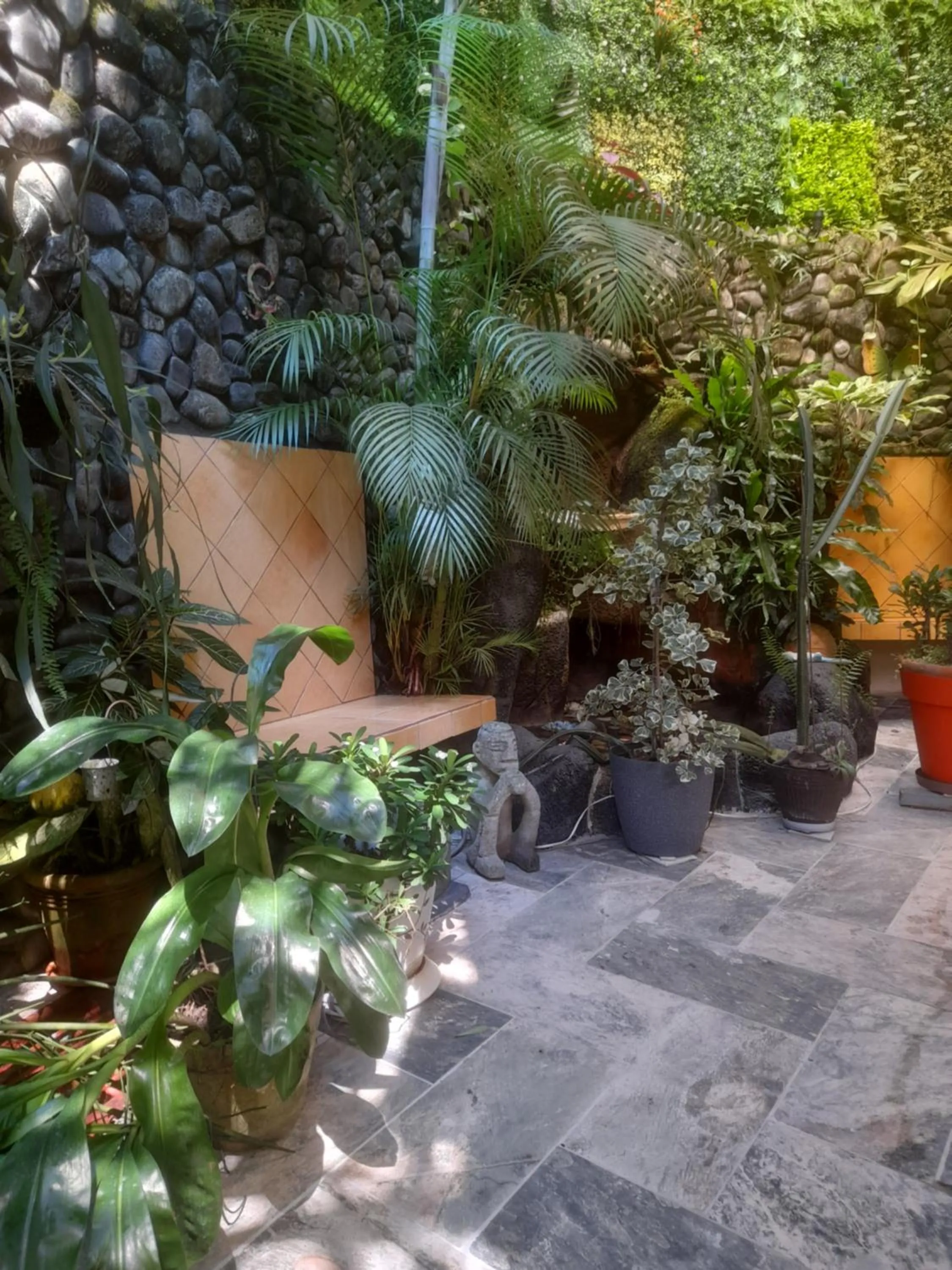 Property building in Coyaba Tropical Elegant Adult Guesthouse