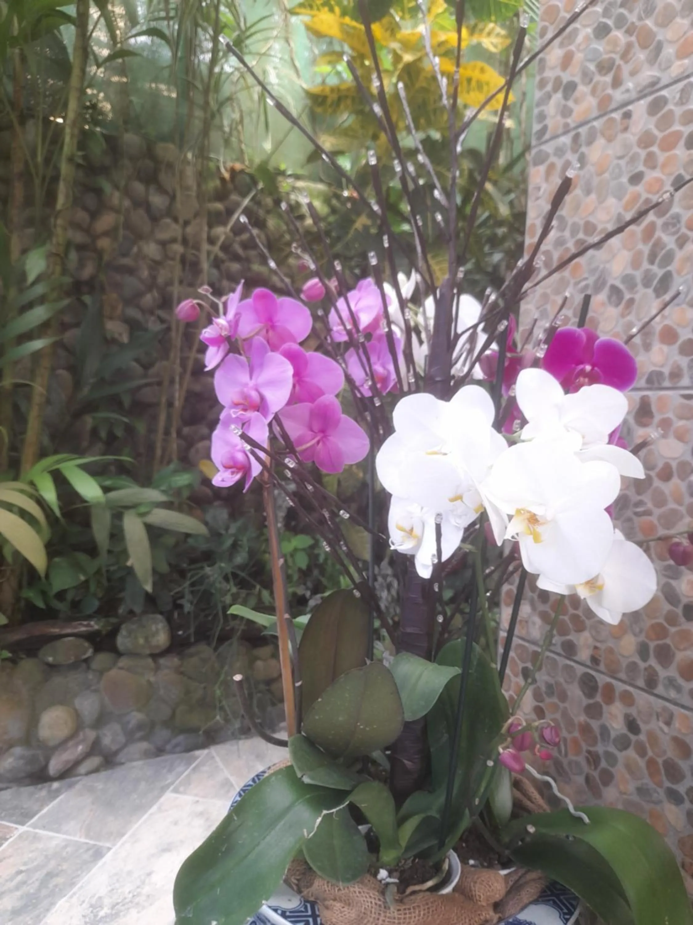 Facade/entrance in Coyaba Tropical Elegant Adult Guesthouse