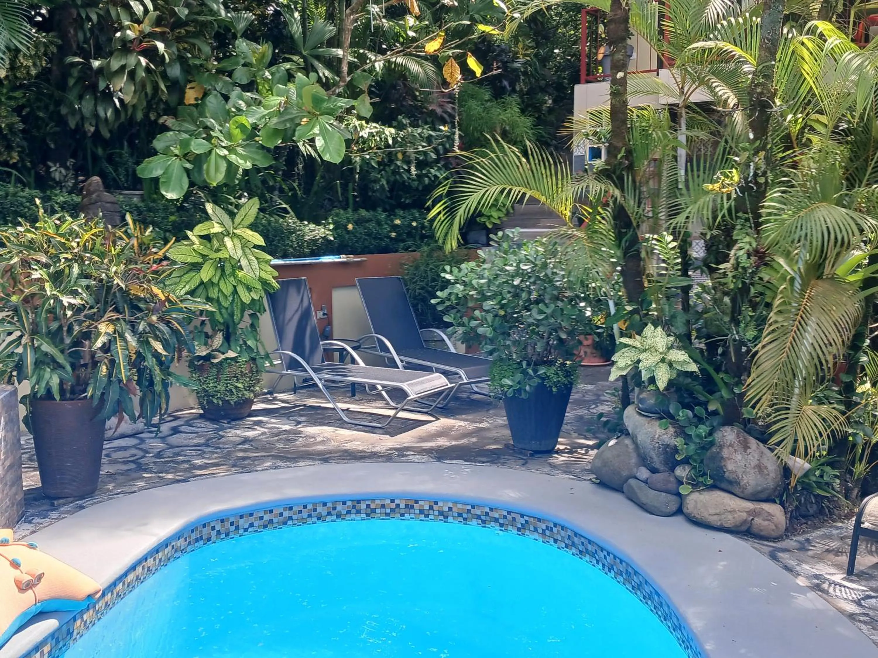 Swimming pool in Coyaba Tropical Elegant Adult Guesthouse