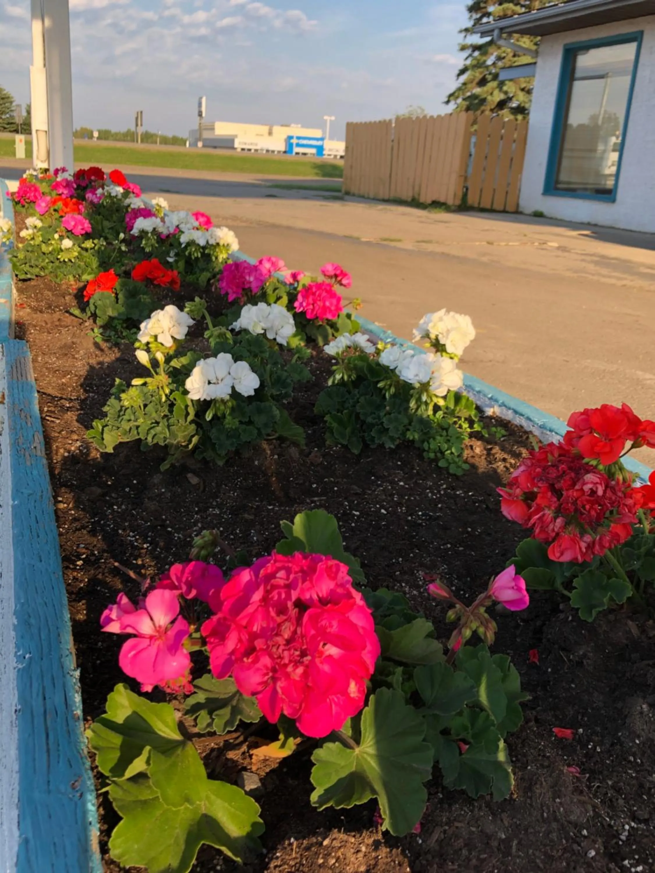 Garden in Voyageur Motel