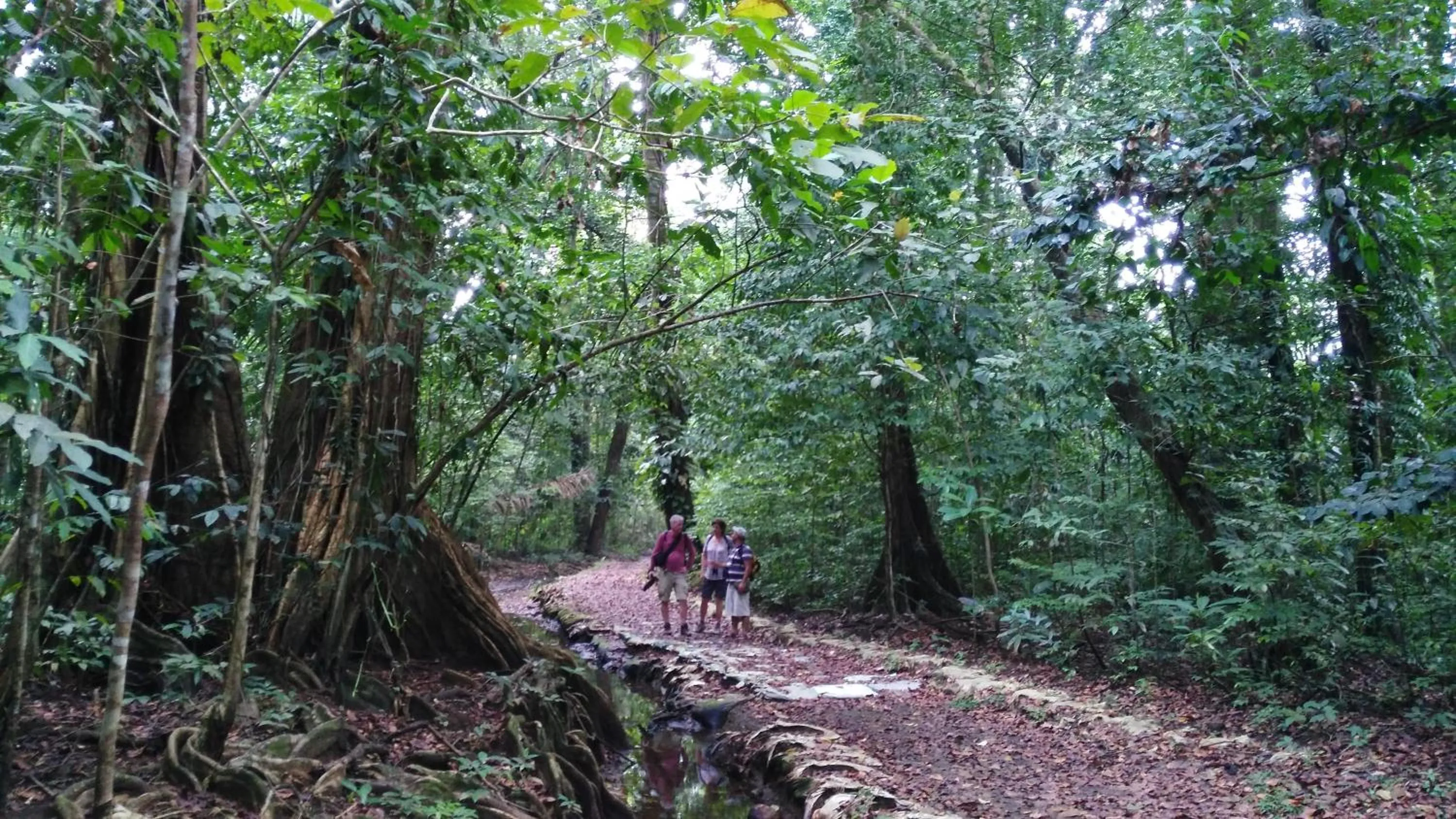 Hiking in Lirio Lodge