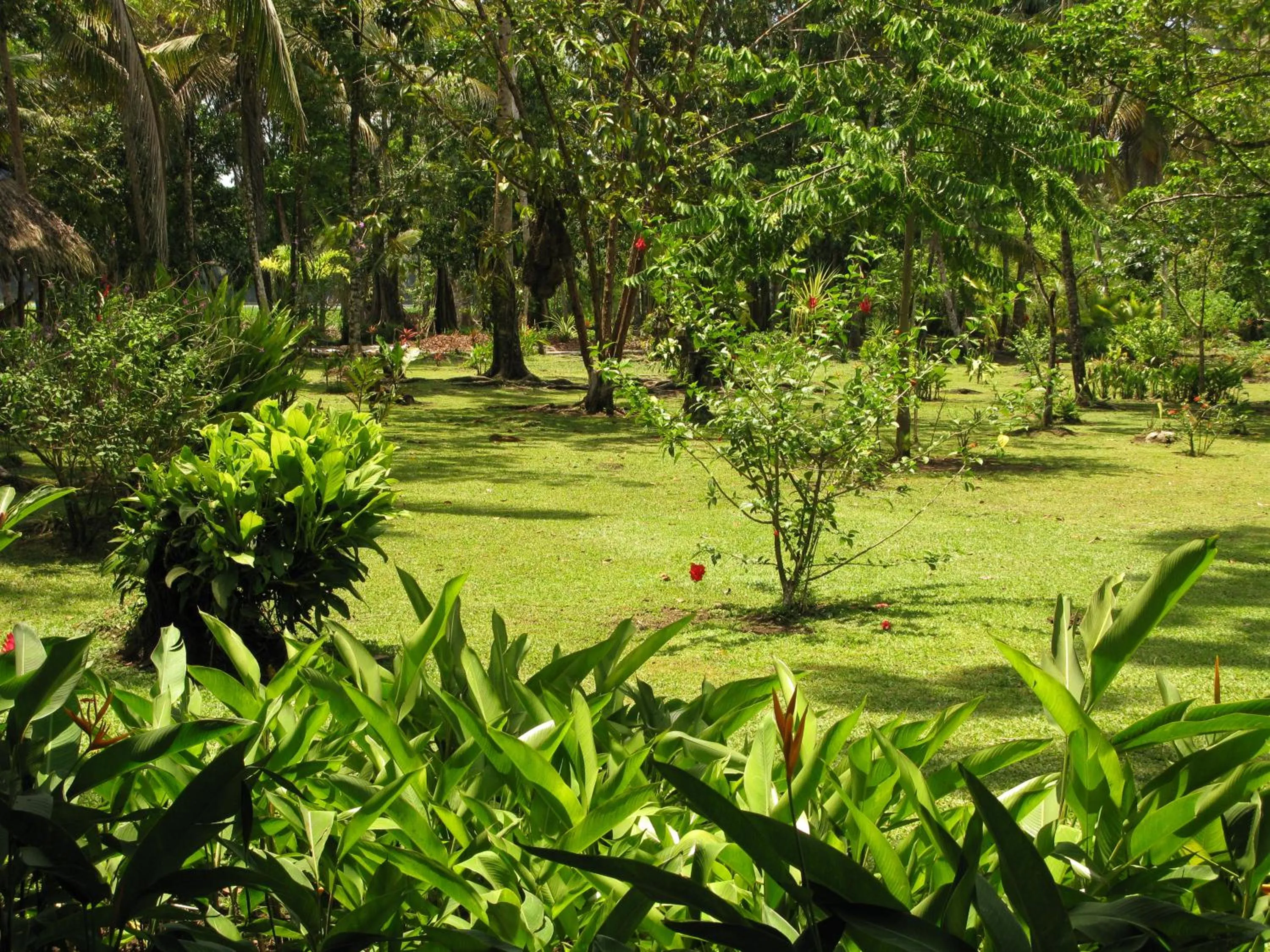 Natural landscape in Lirio Lodge