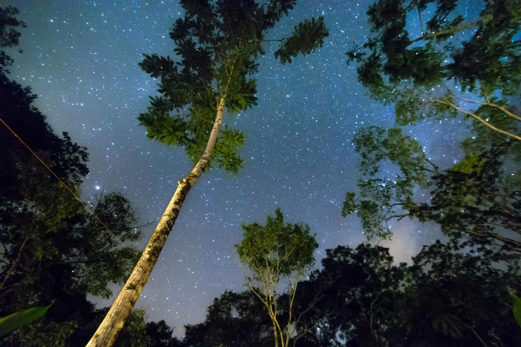 View (from property/room) in Lirio Lodge