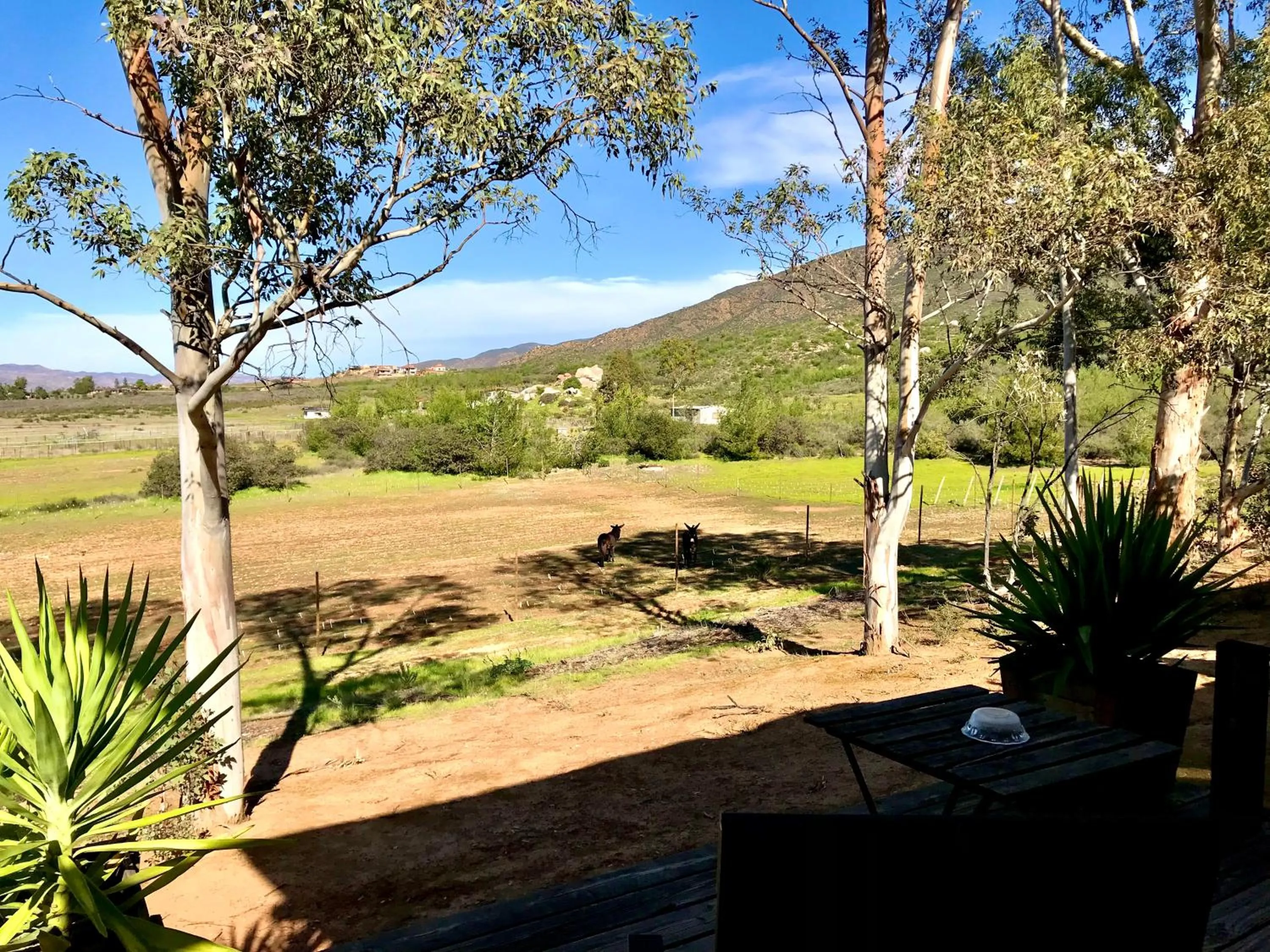 View (from property/room) in Casa Mayoral B&B Pet friendly