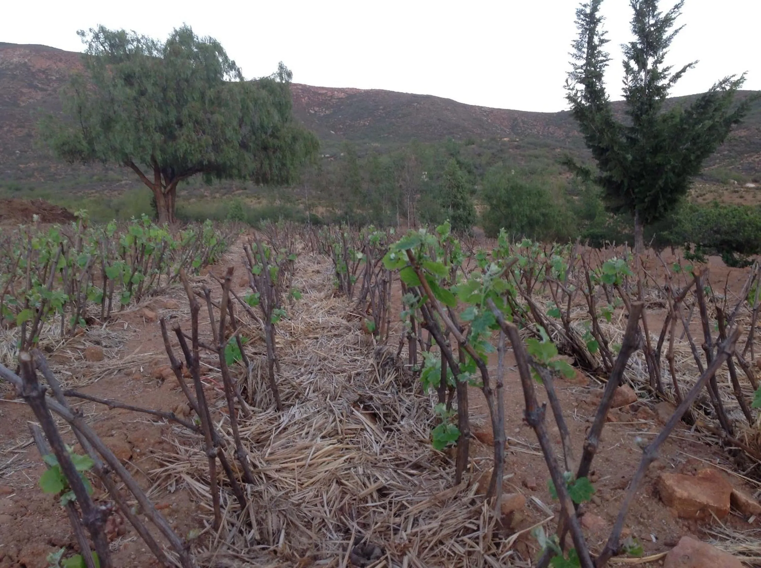 View (from property/room) in Casa Mayoral B&B Pet friendly