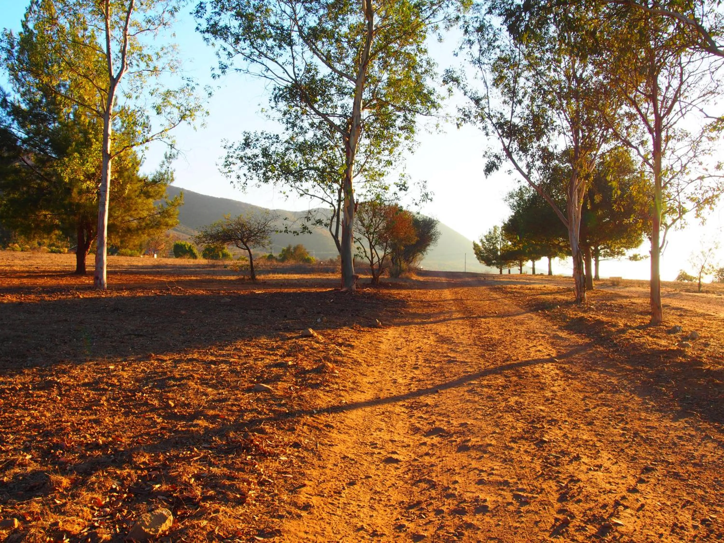 Natural landscape in Casa Mayoral B&B Pet friendly