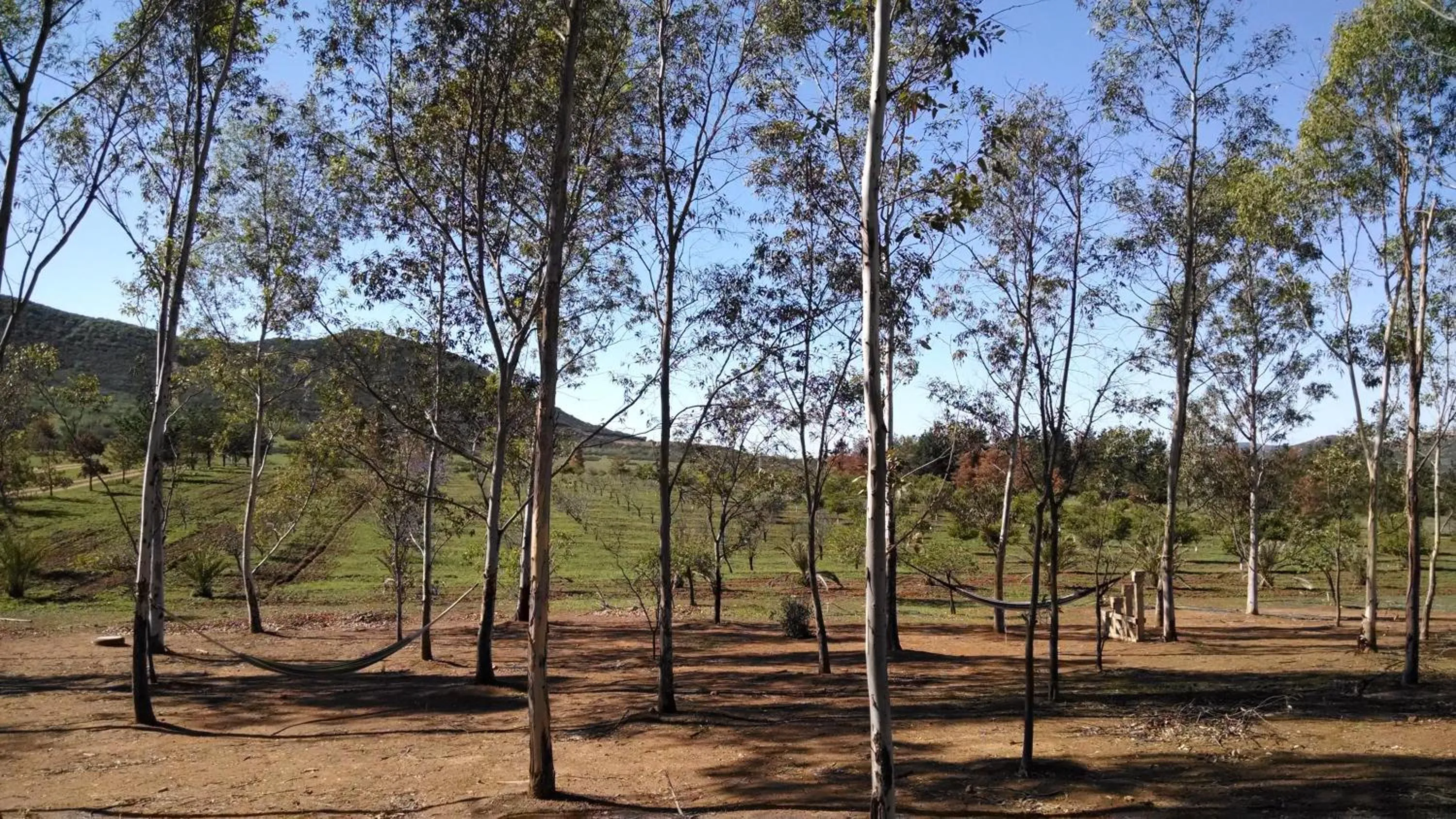 Off site in Casa Mayoral B&B Pet friendly