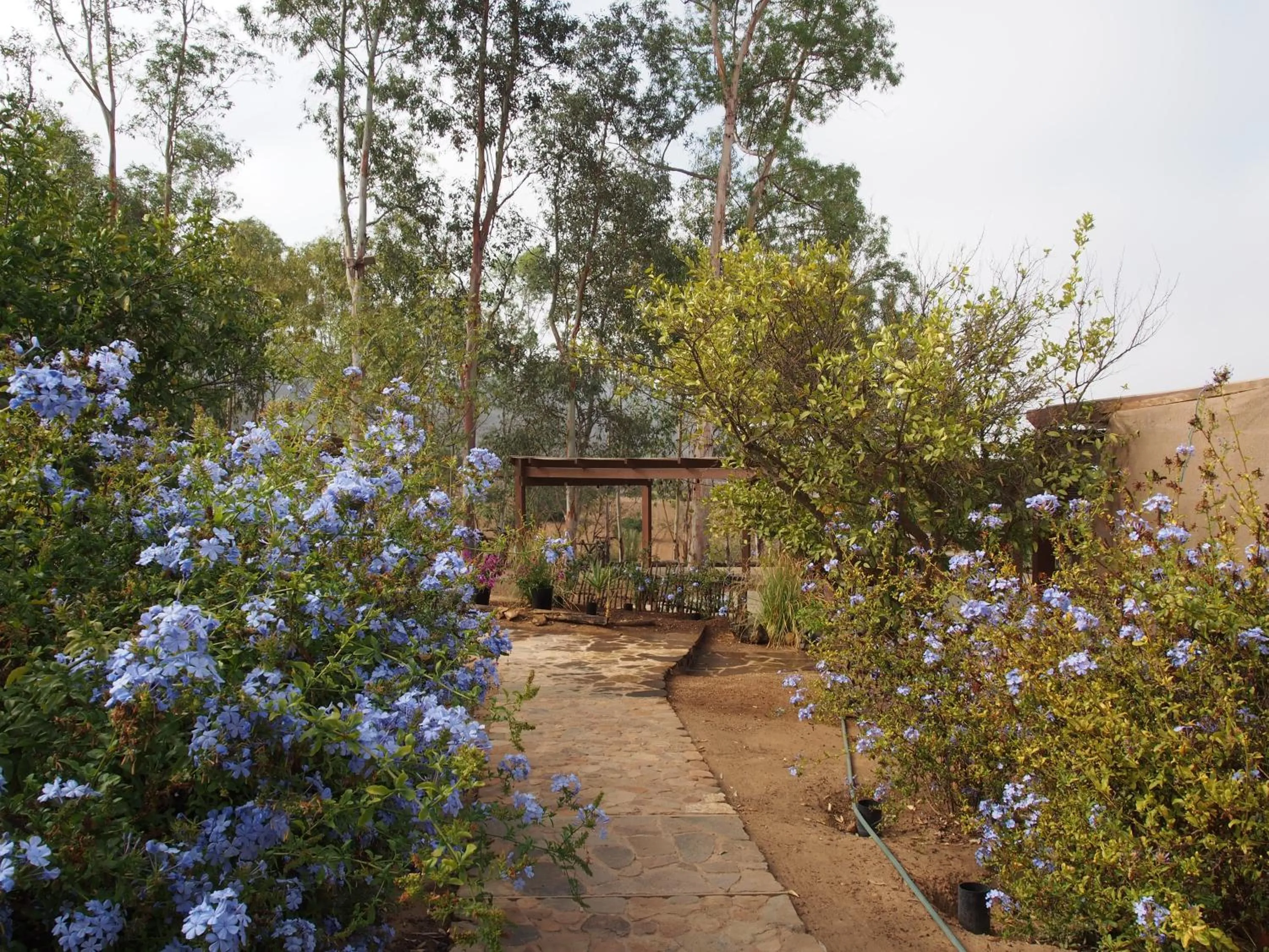 Garden in Casa Mayoral B&B Pet friendly