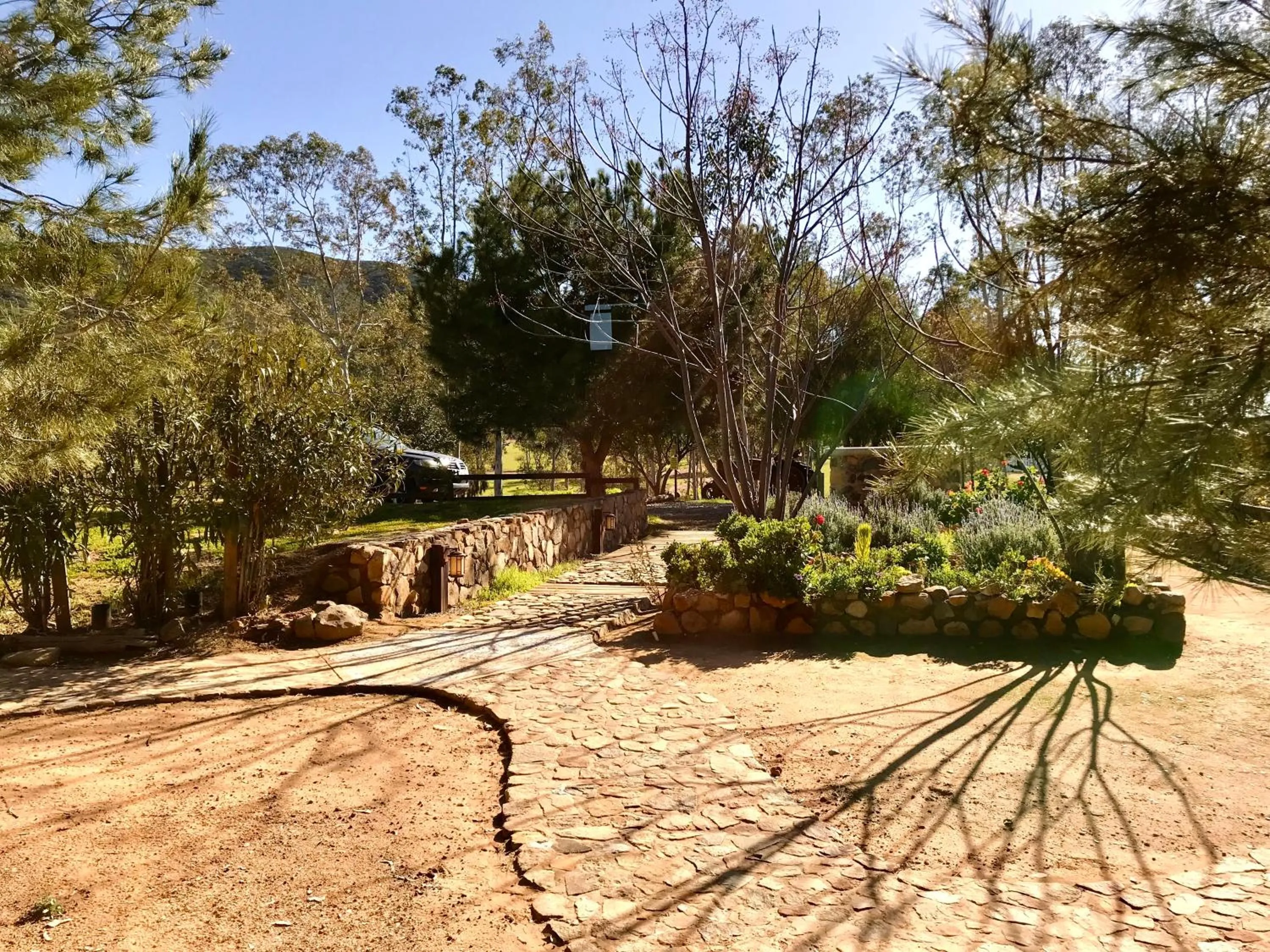 Garden in Casa Mayoral B&B Pet friendly