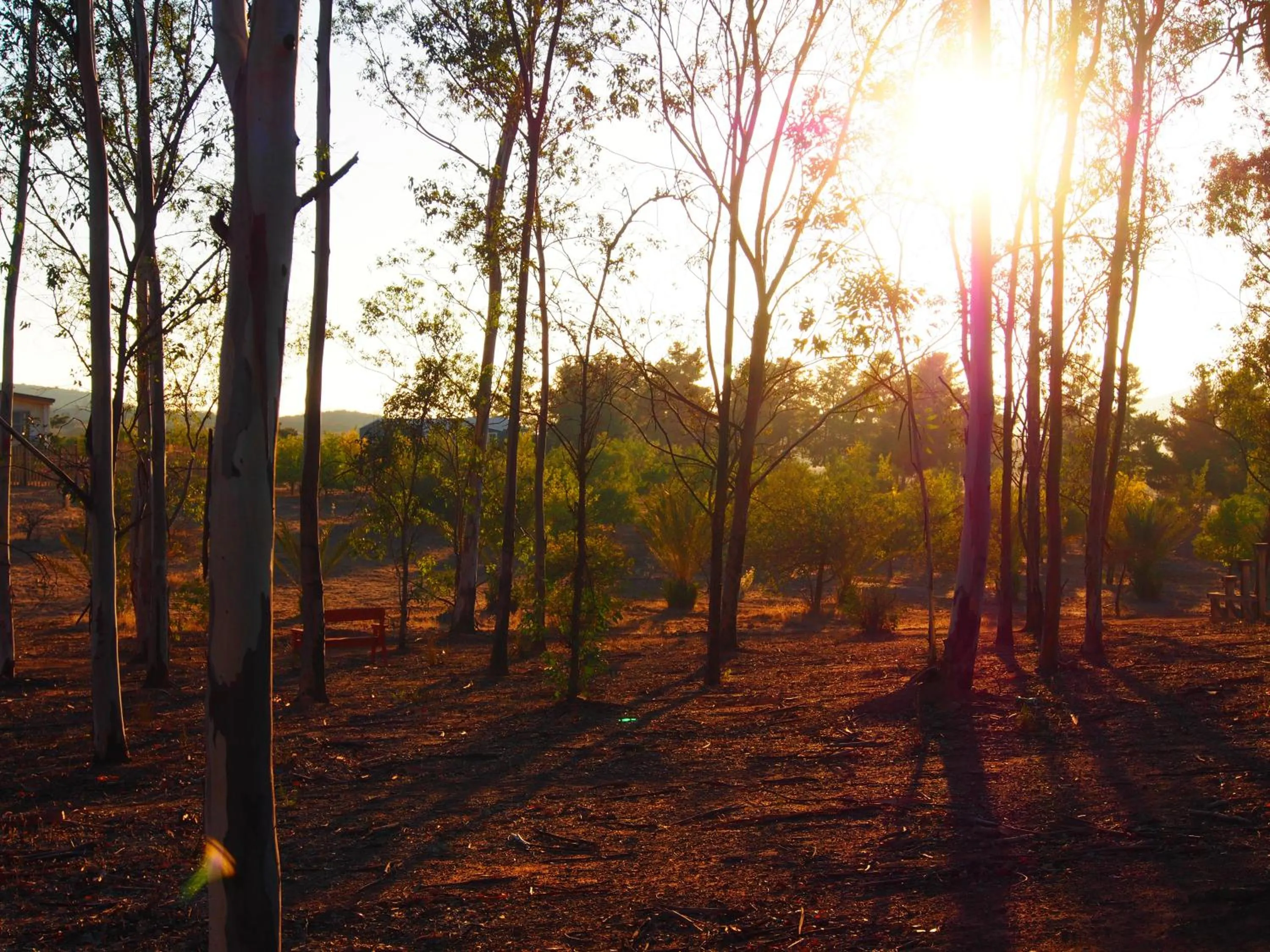 Natural landscape in Casa Mayoral B&B Pet friendly