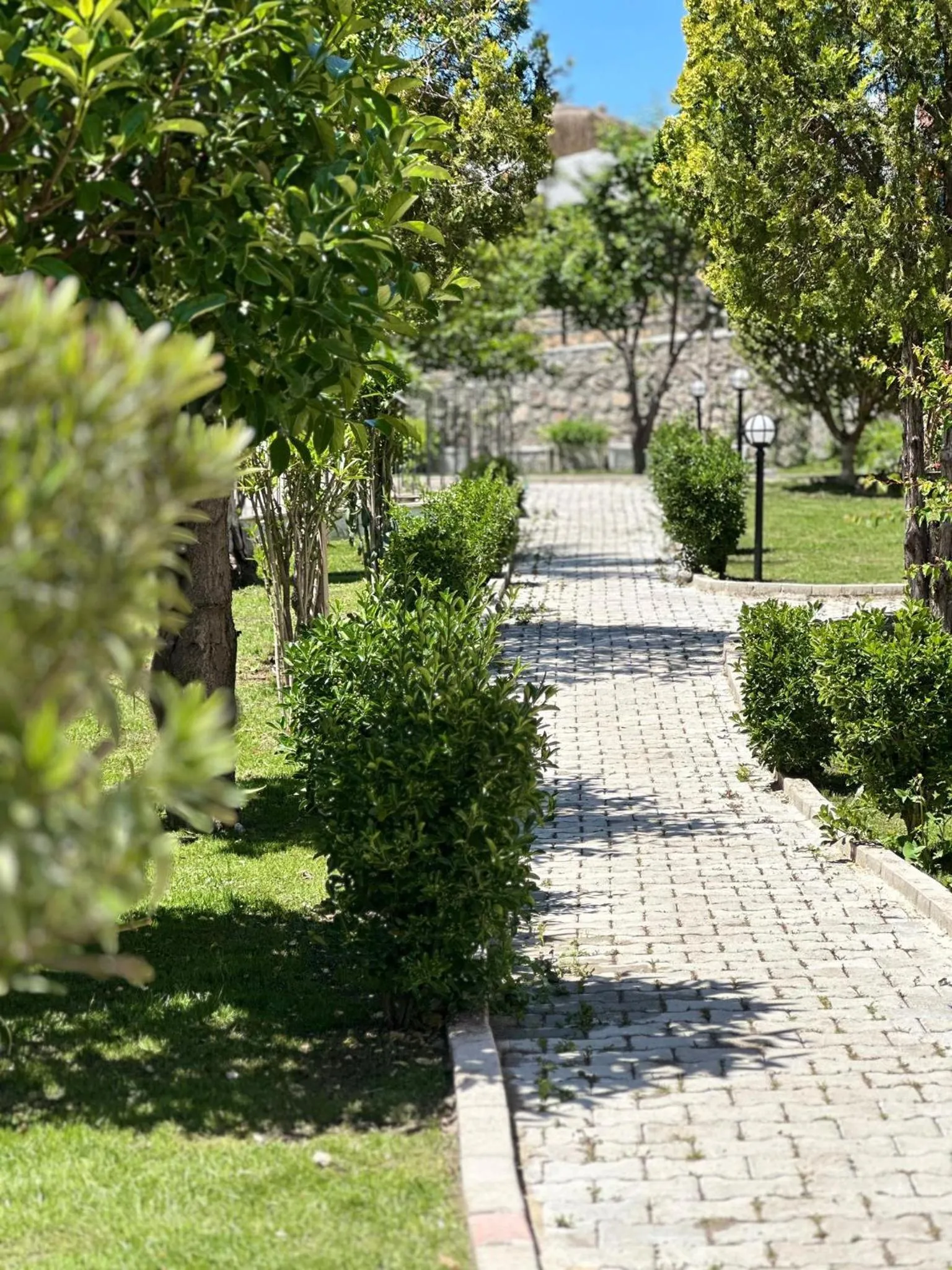 Garden in Casa De Levıssı Ölüdeniz
