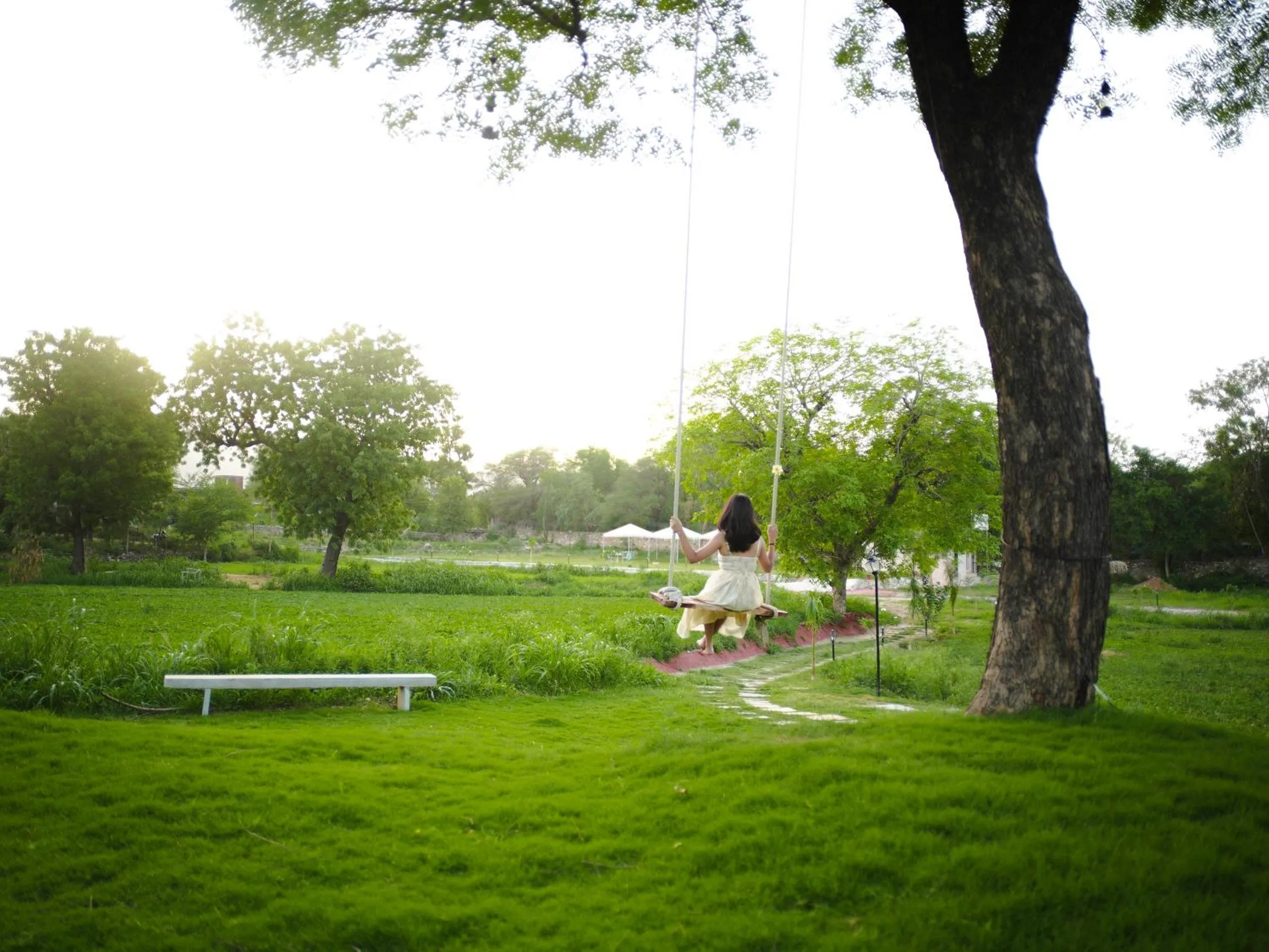 Garden in Indulge Udaipur by Pack