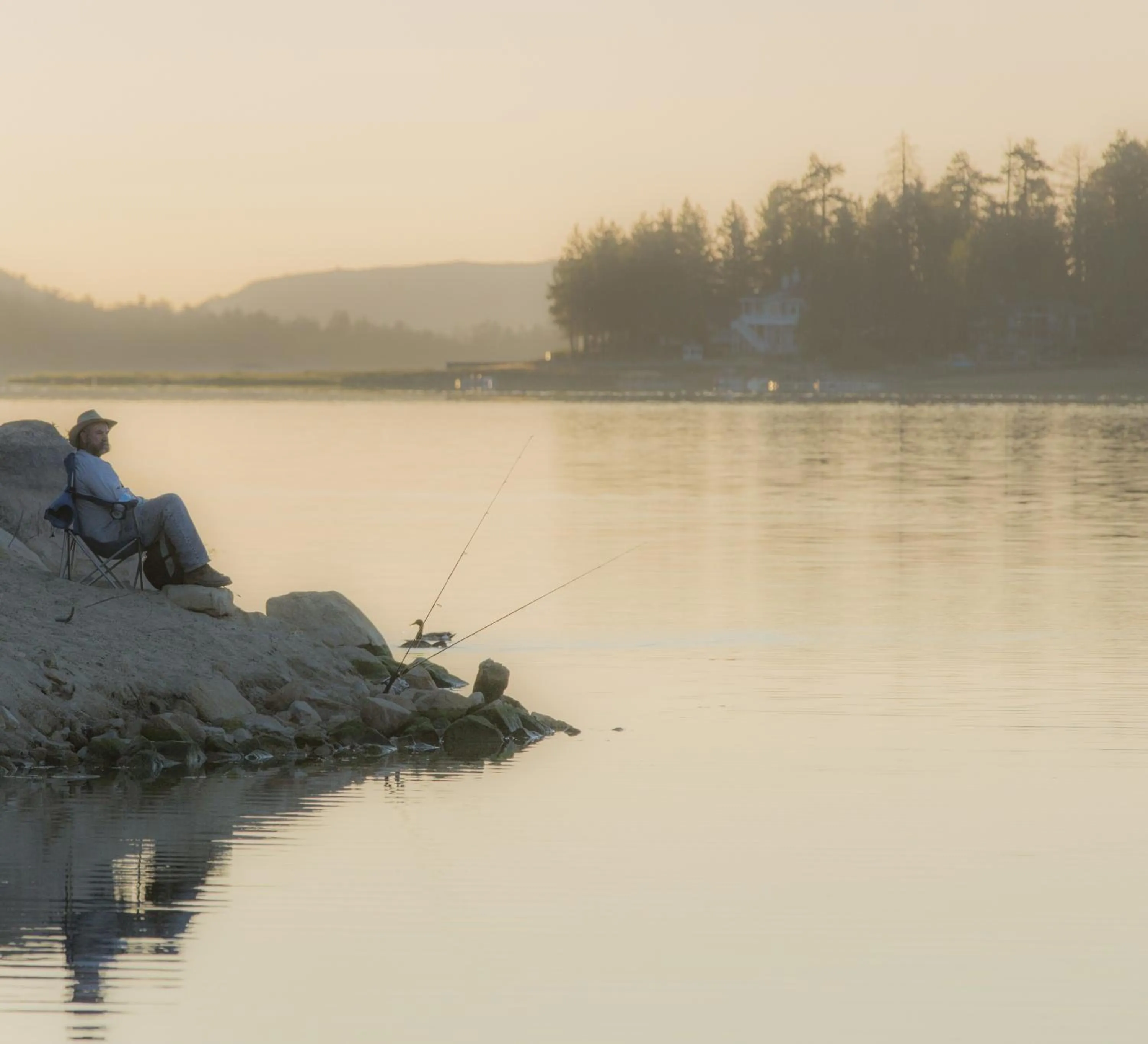 Natural landscape in Embers Lodge & Cabins
