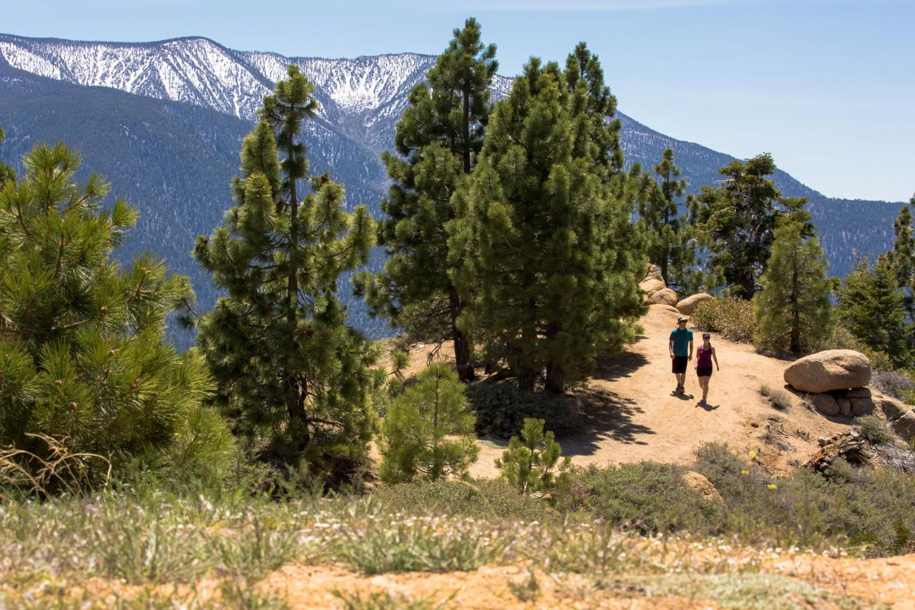 Natural landscape in Embers Lodge & Cabins