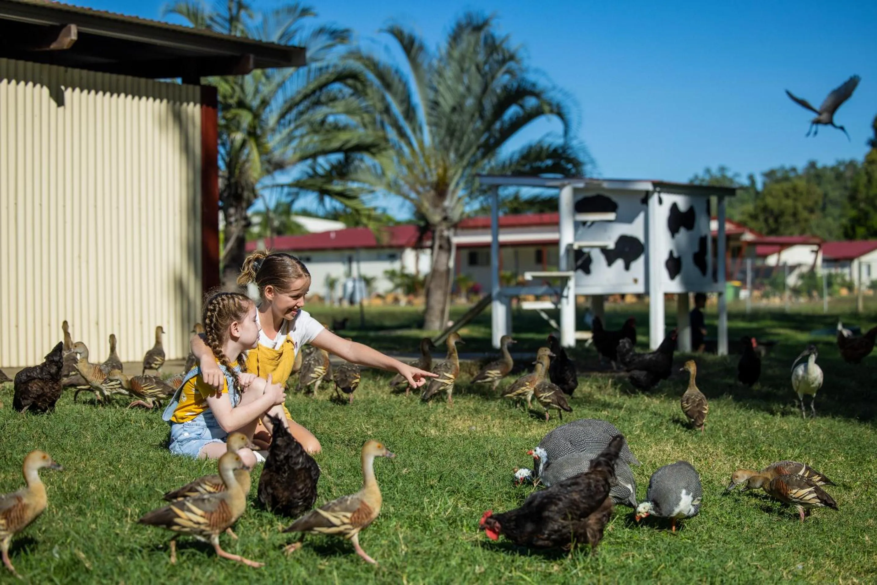 Animals in BIG4 Adventure Whitsunday Resort