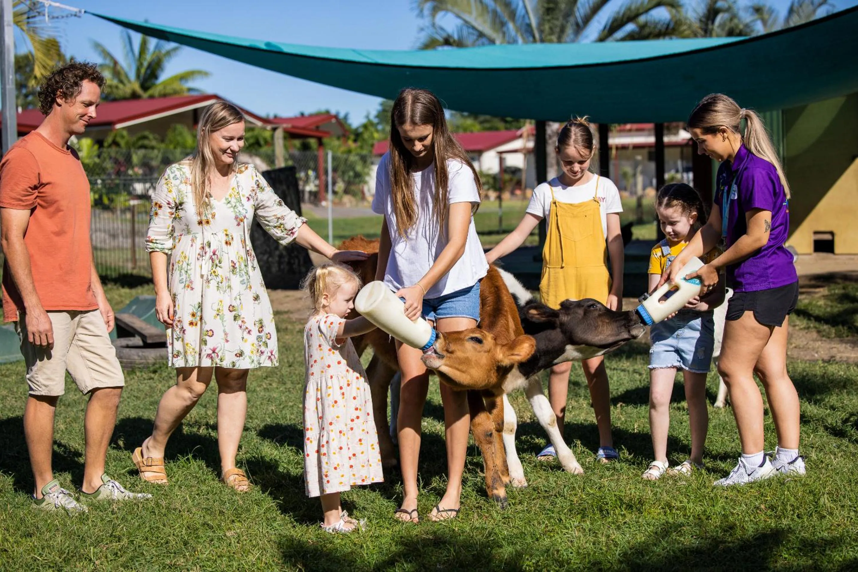 Animals in BIG4 Adventure Whitsunday Resort