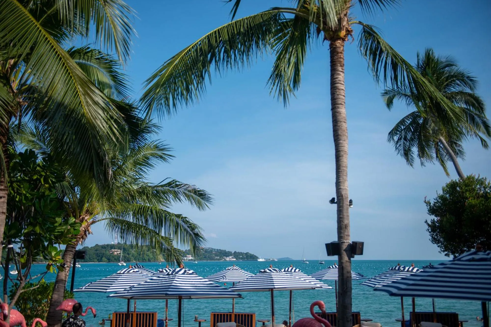 Restaurant/places to eat in Bandara Beach Resort, Phuket