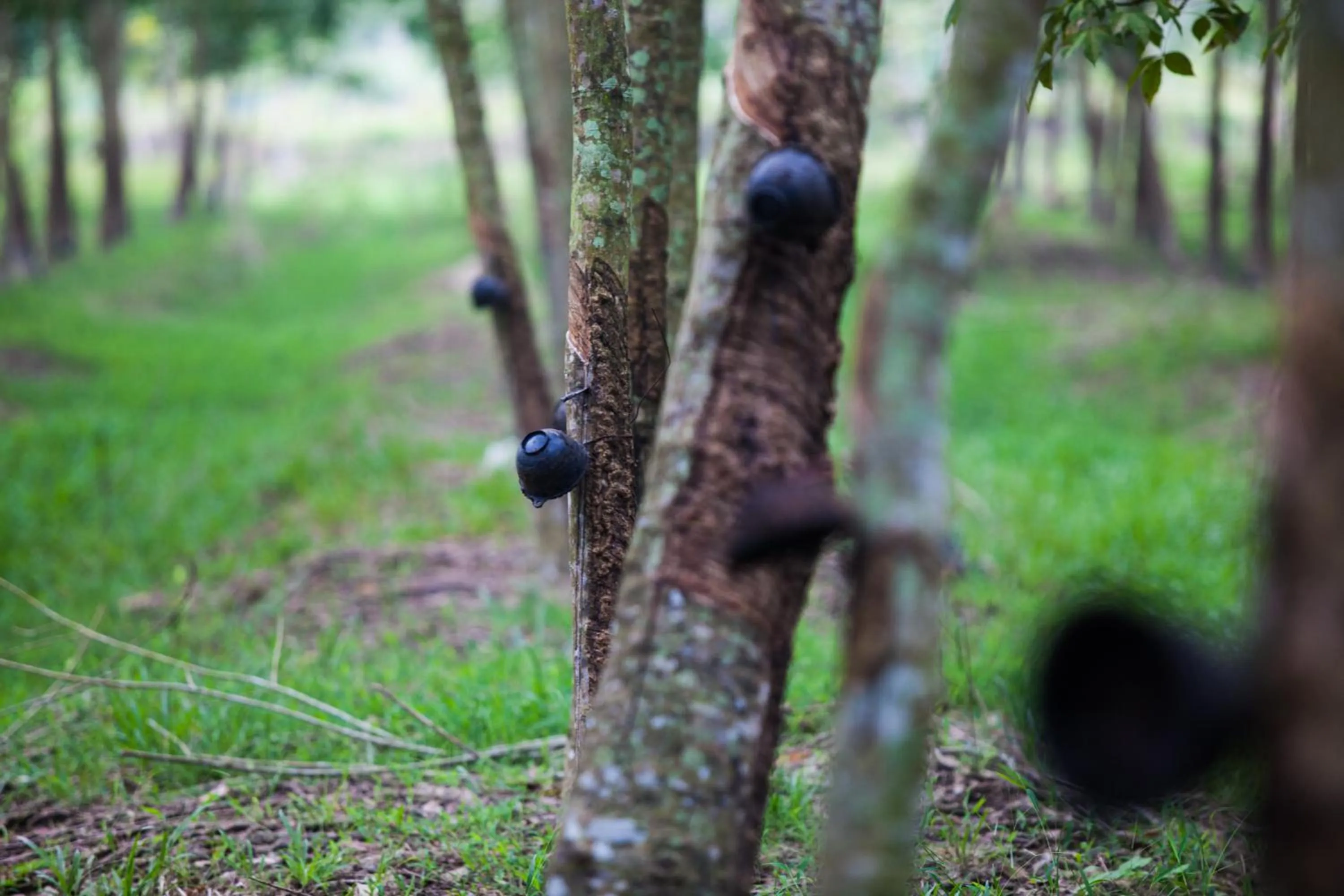 Yataa Spa and Resort