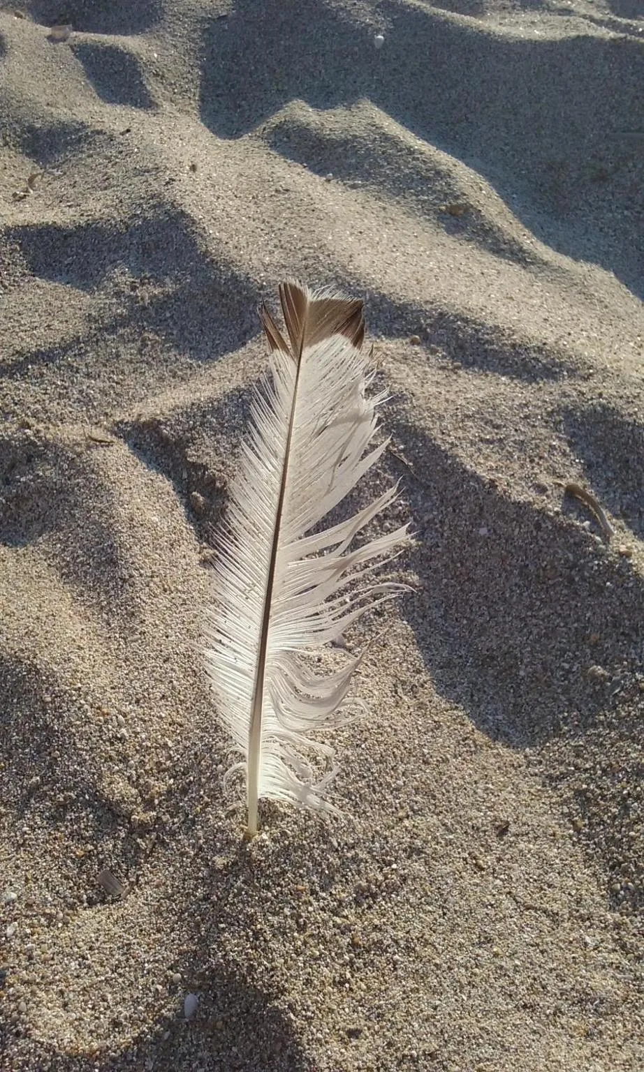 Beach in Akti Anastasia