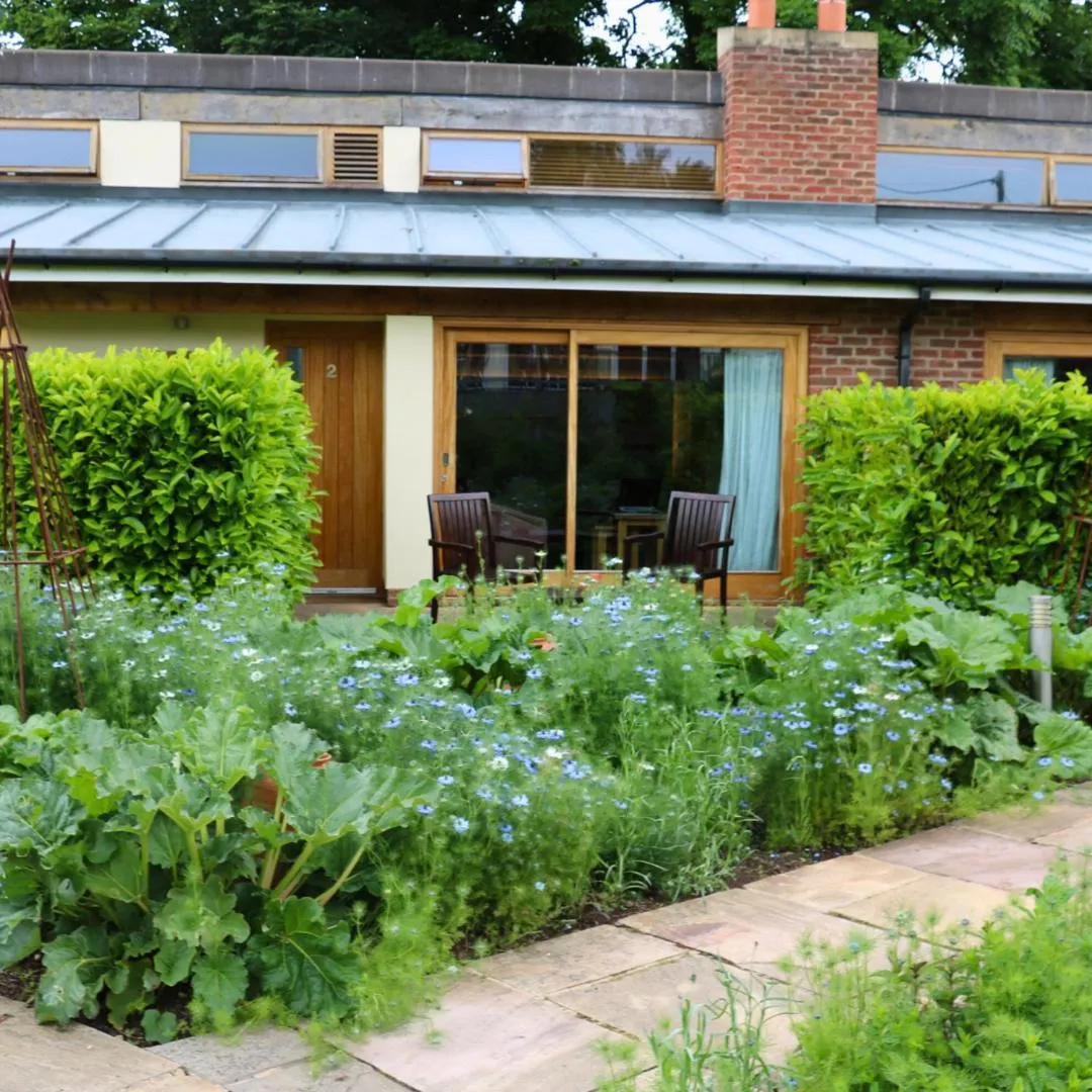 Garden in The Carpenters Arms