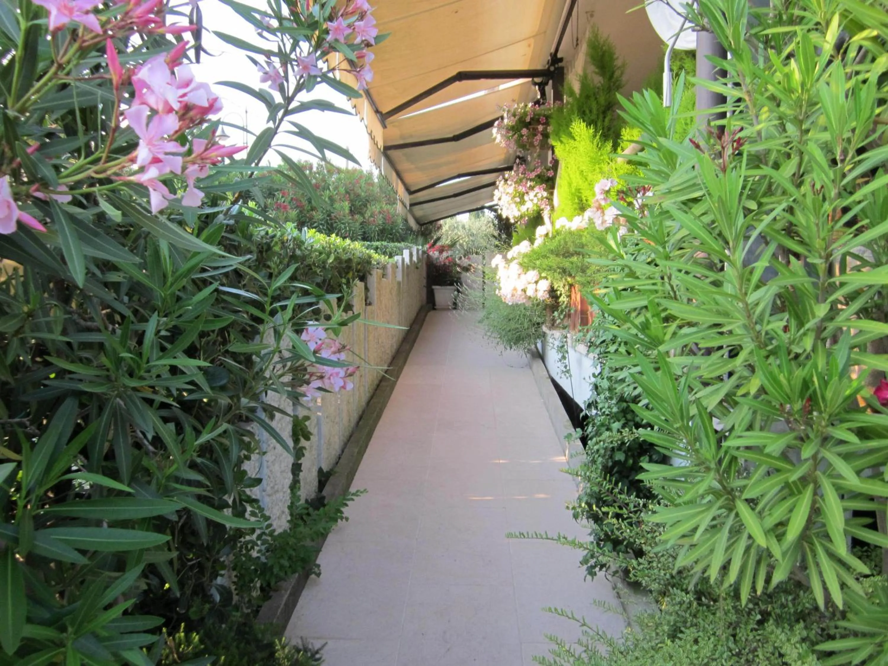 Facade/entrance in Hotel Marina