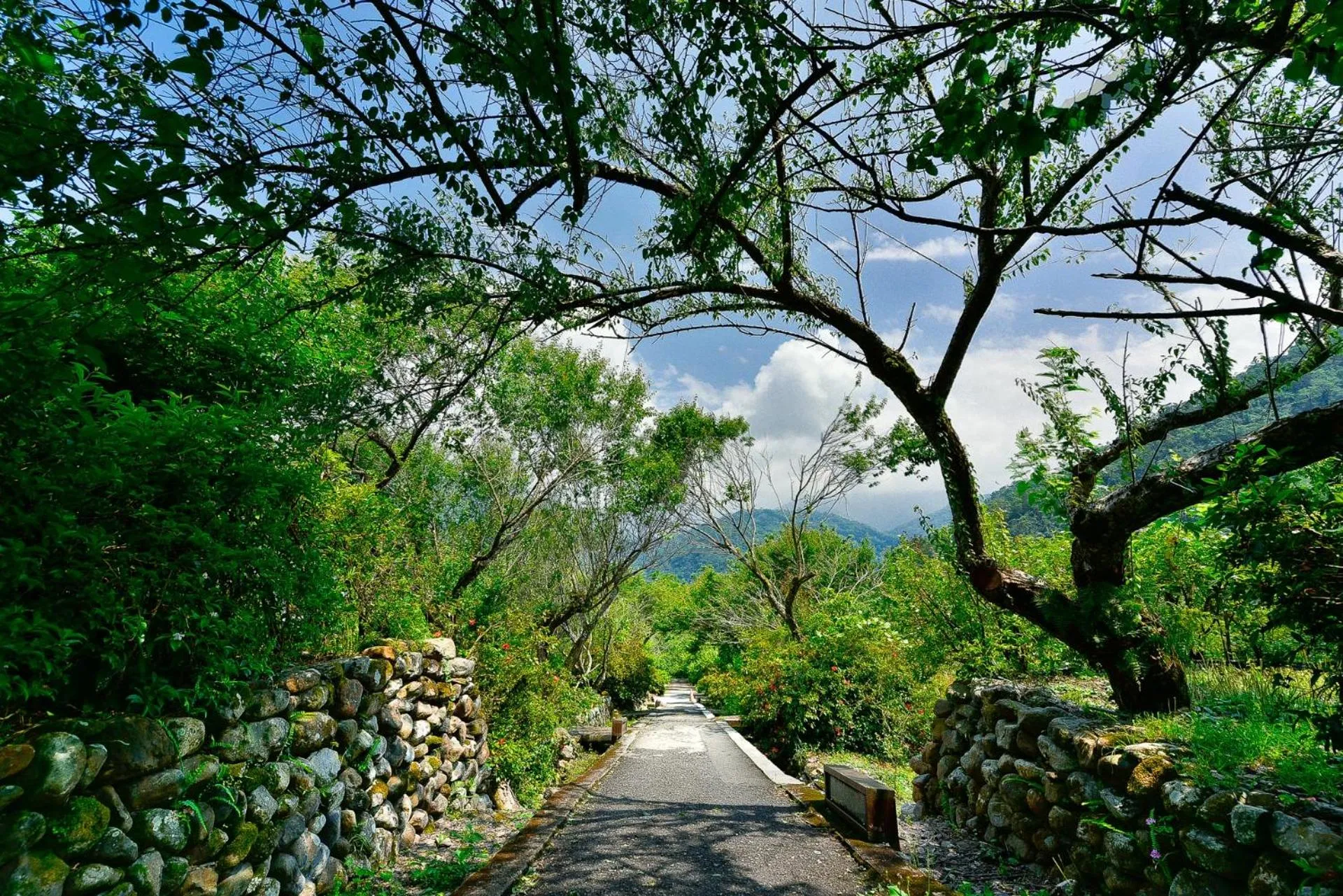 Garden in Chilan Hotel