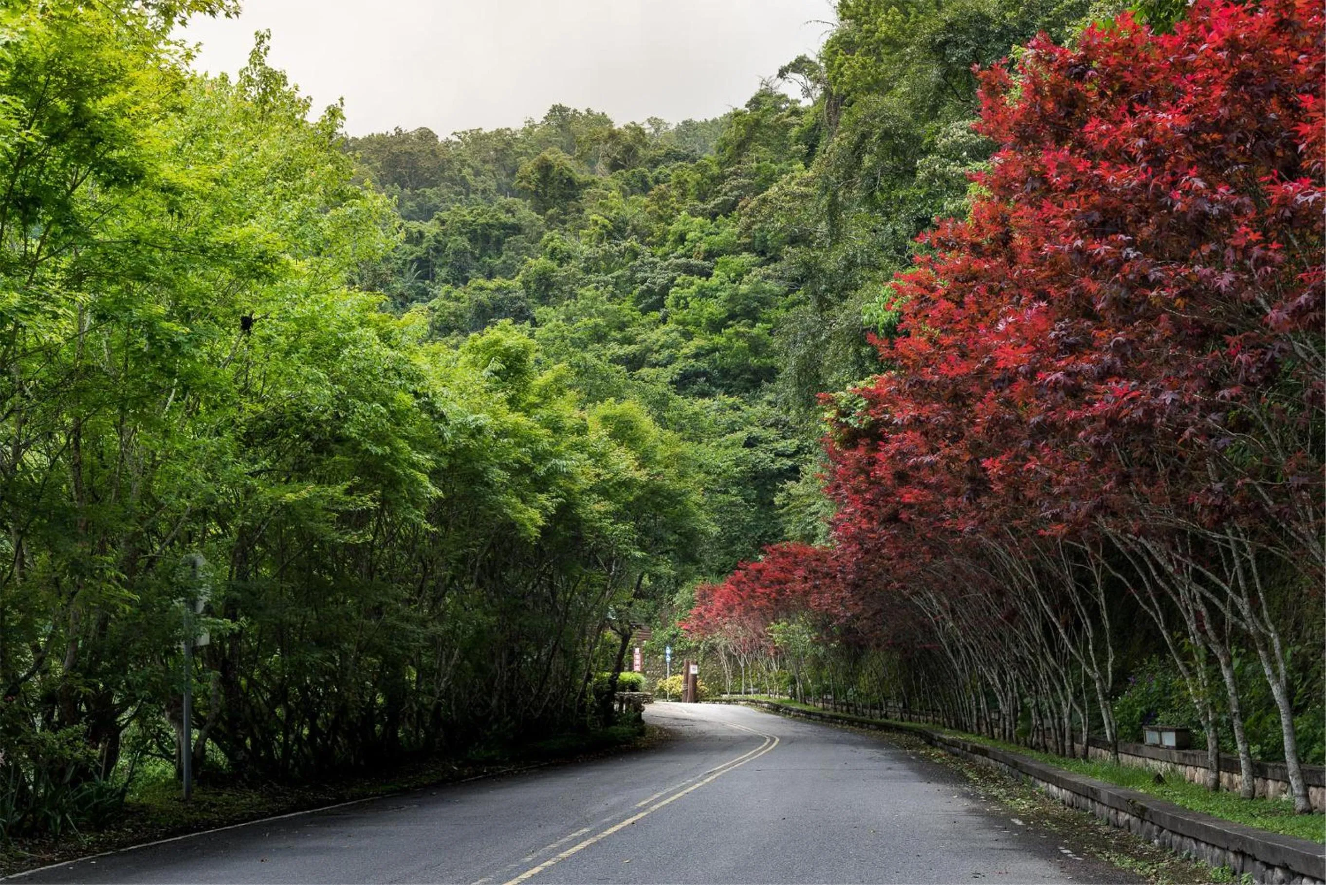 Natural landscape in Chilan Hotel