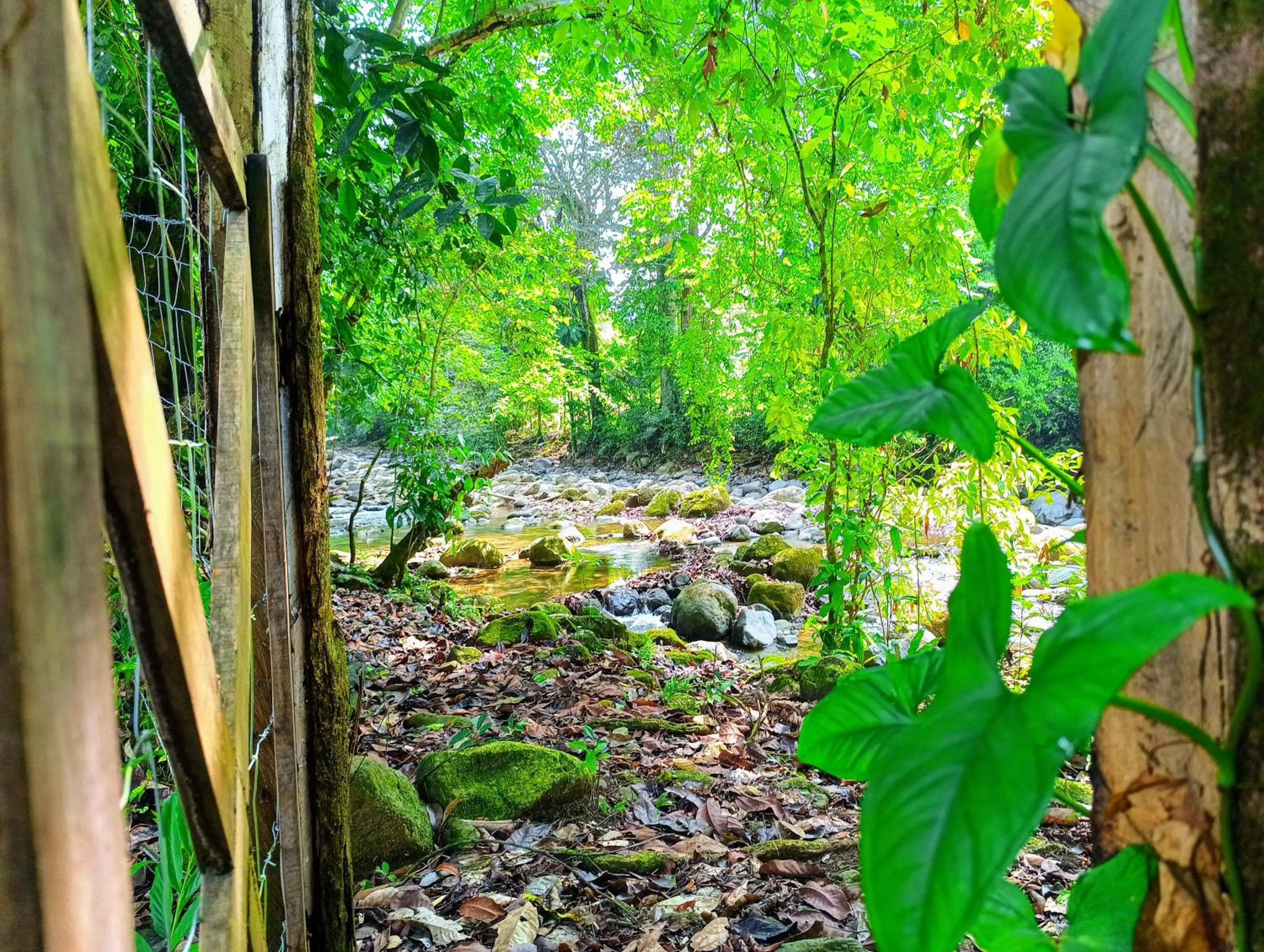 Garden in Thoas Lodge