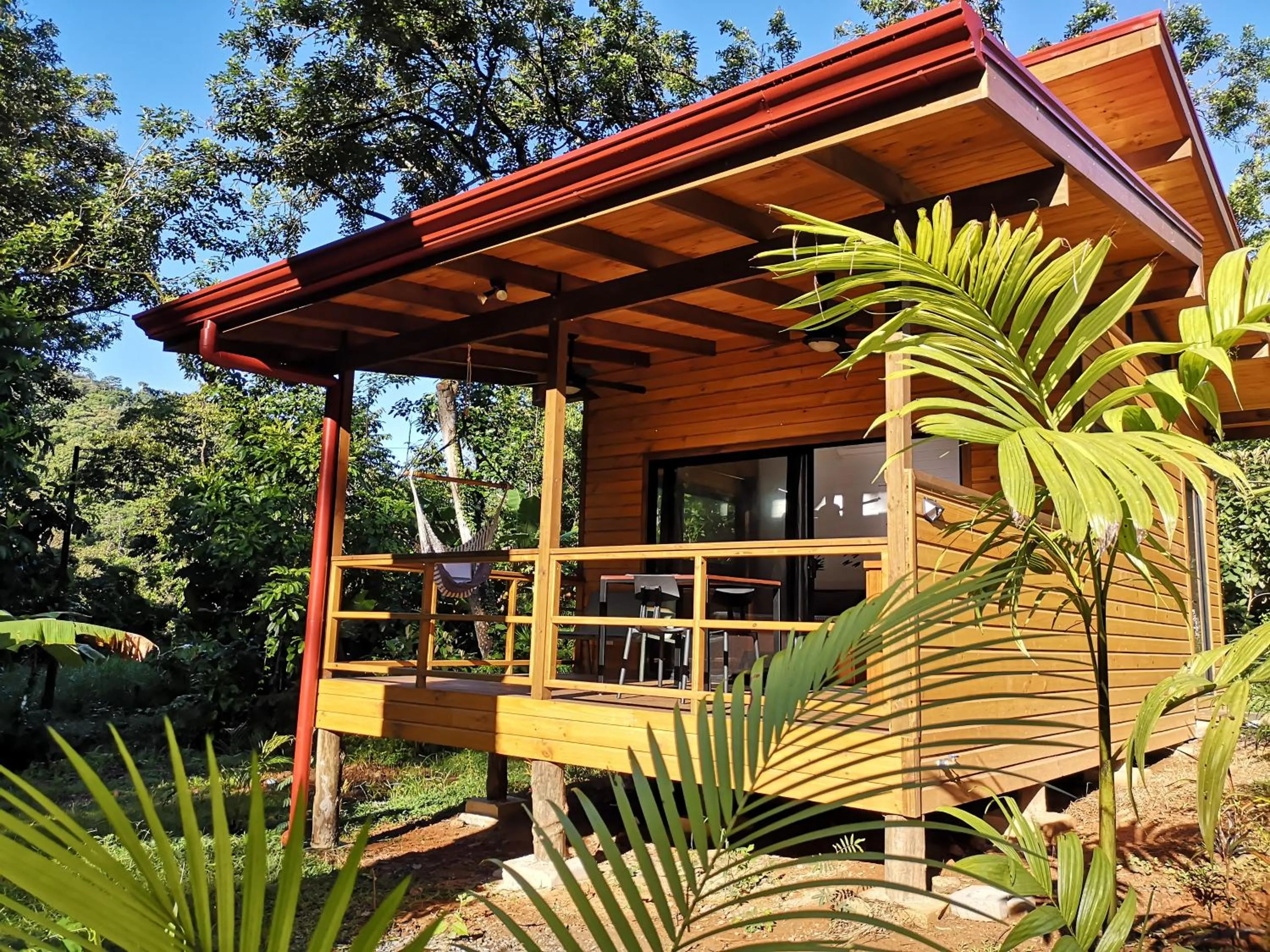 Garden in Thoas Lodge