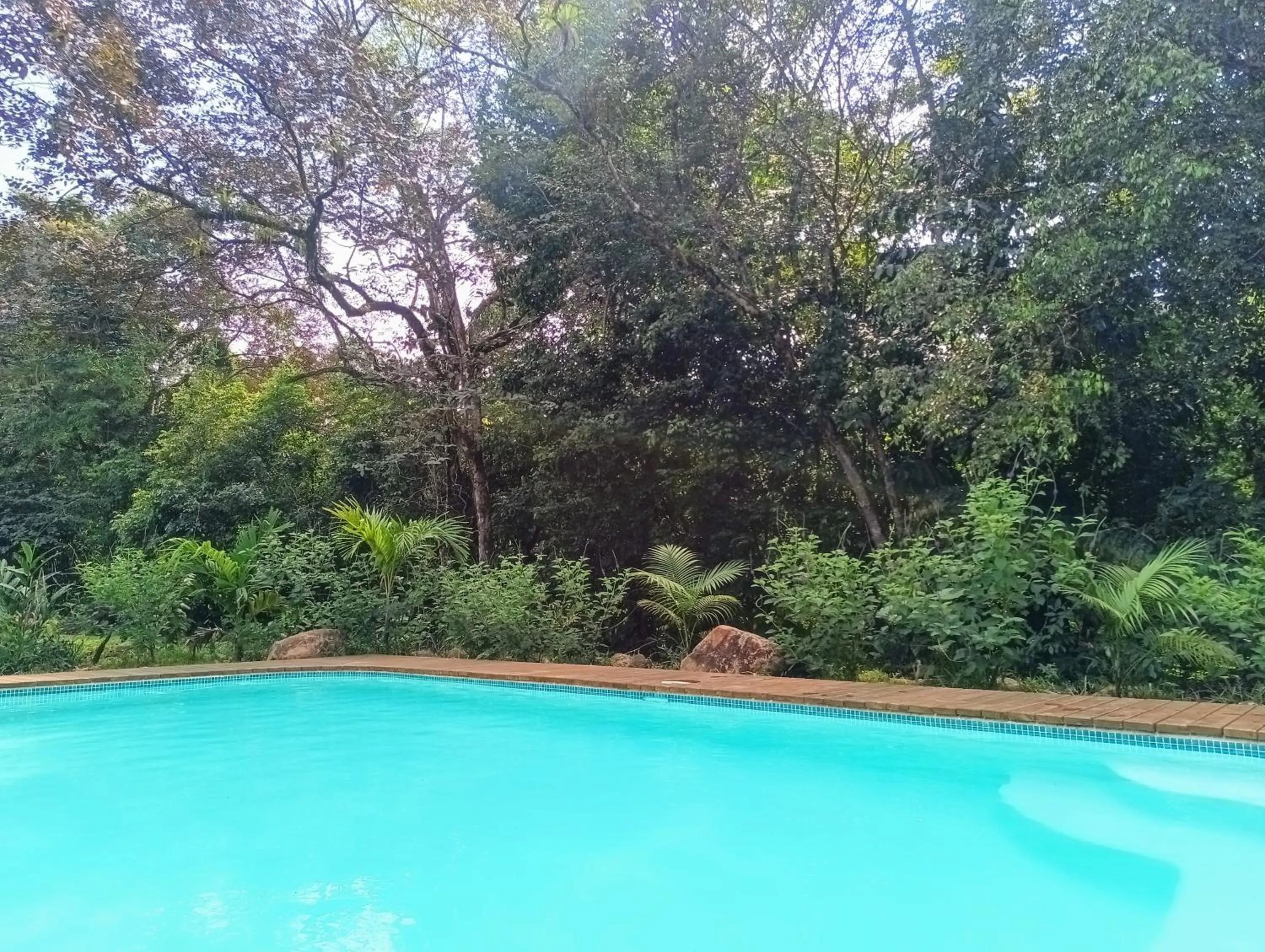 Swimming pool in Thoas Lodge