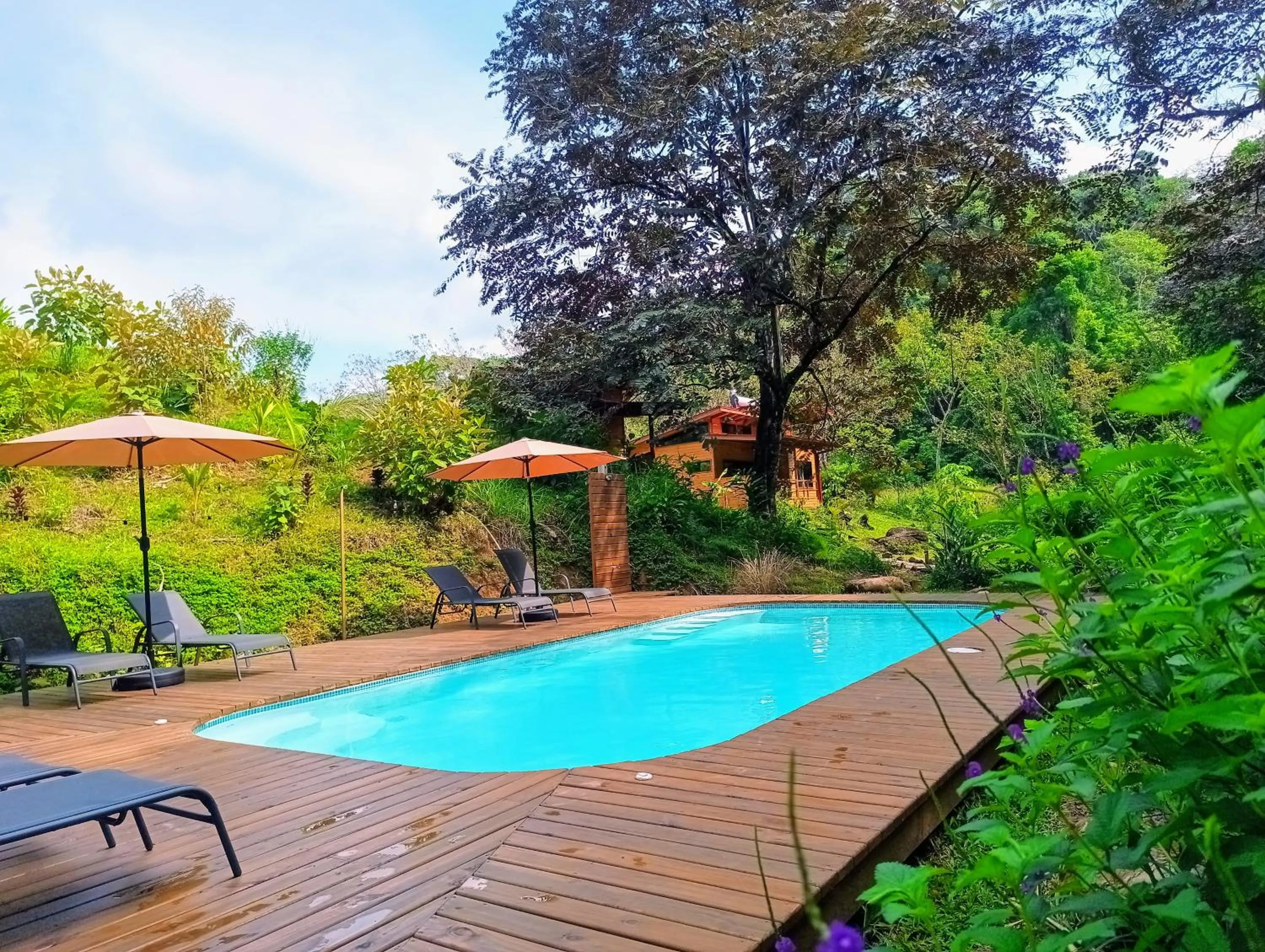 Swimming pool in Thoas Lodge