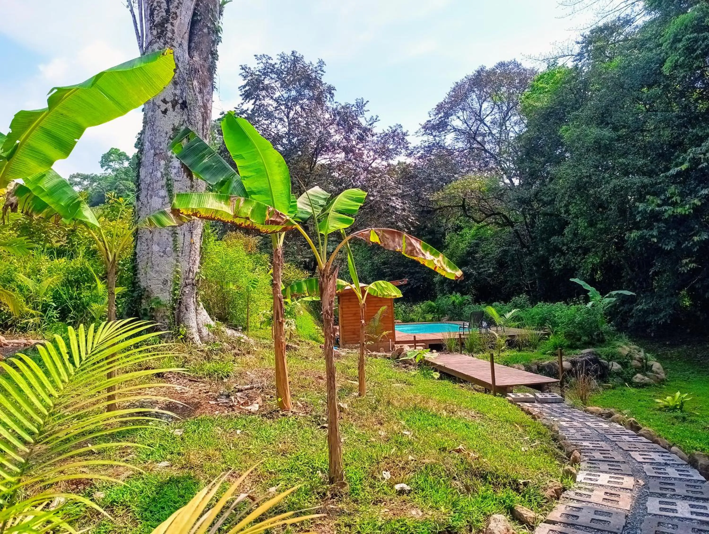 Garden in Thoas Lodge