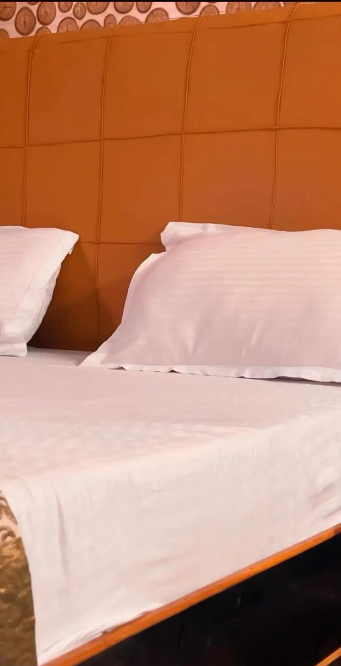 Large Double Room - single occupancy in Ankur Hotel Large Double Room - single occupancy in Ankur Hotel