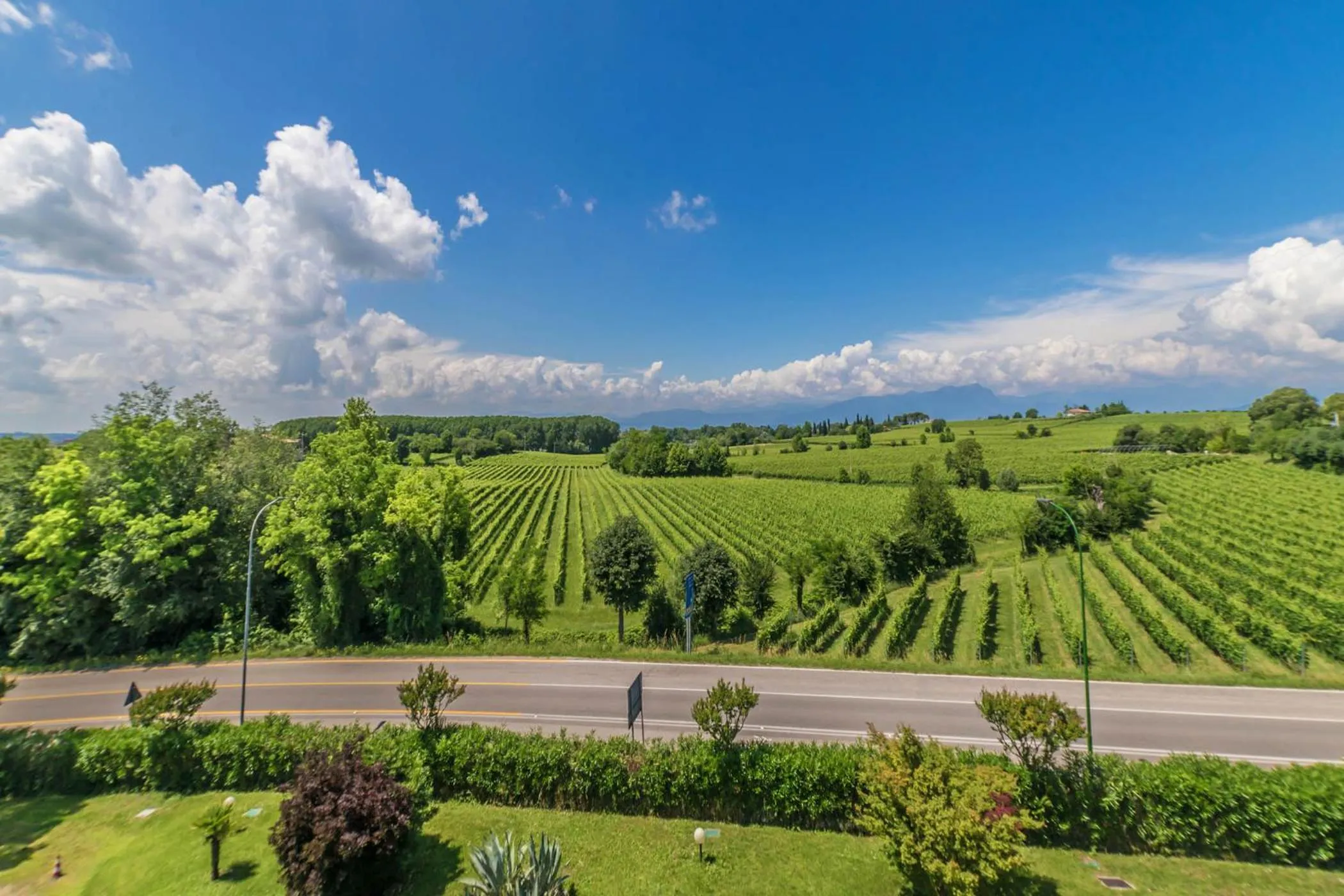 Natural landscape in Hotel Nuova Barcaccia