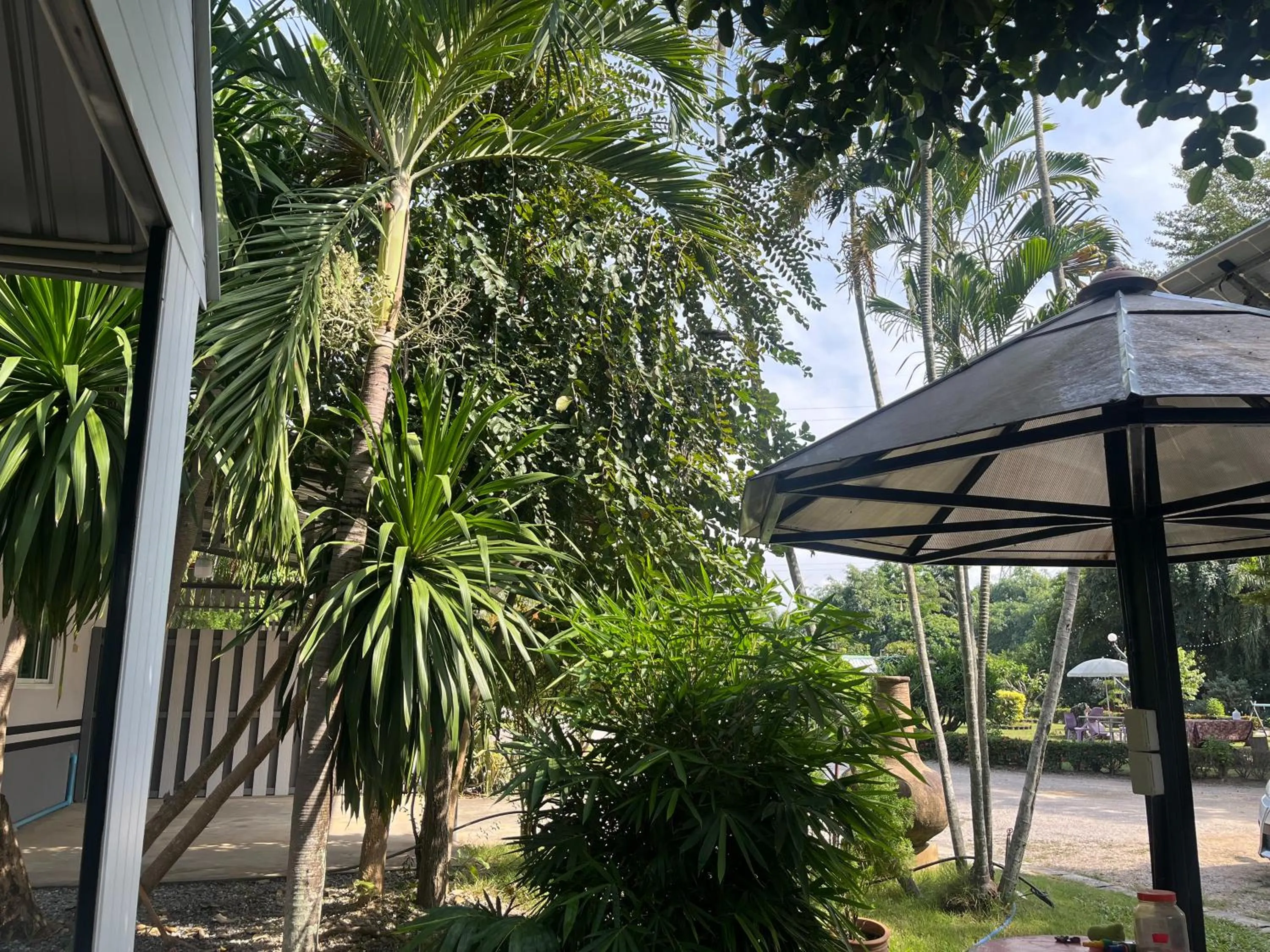 Natural landscape in Ban Suan Suree Resort