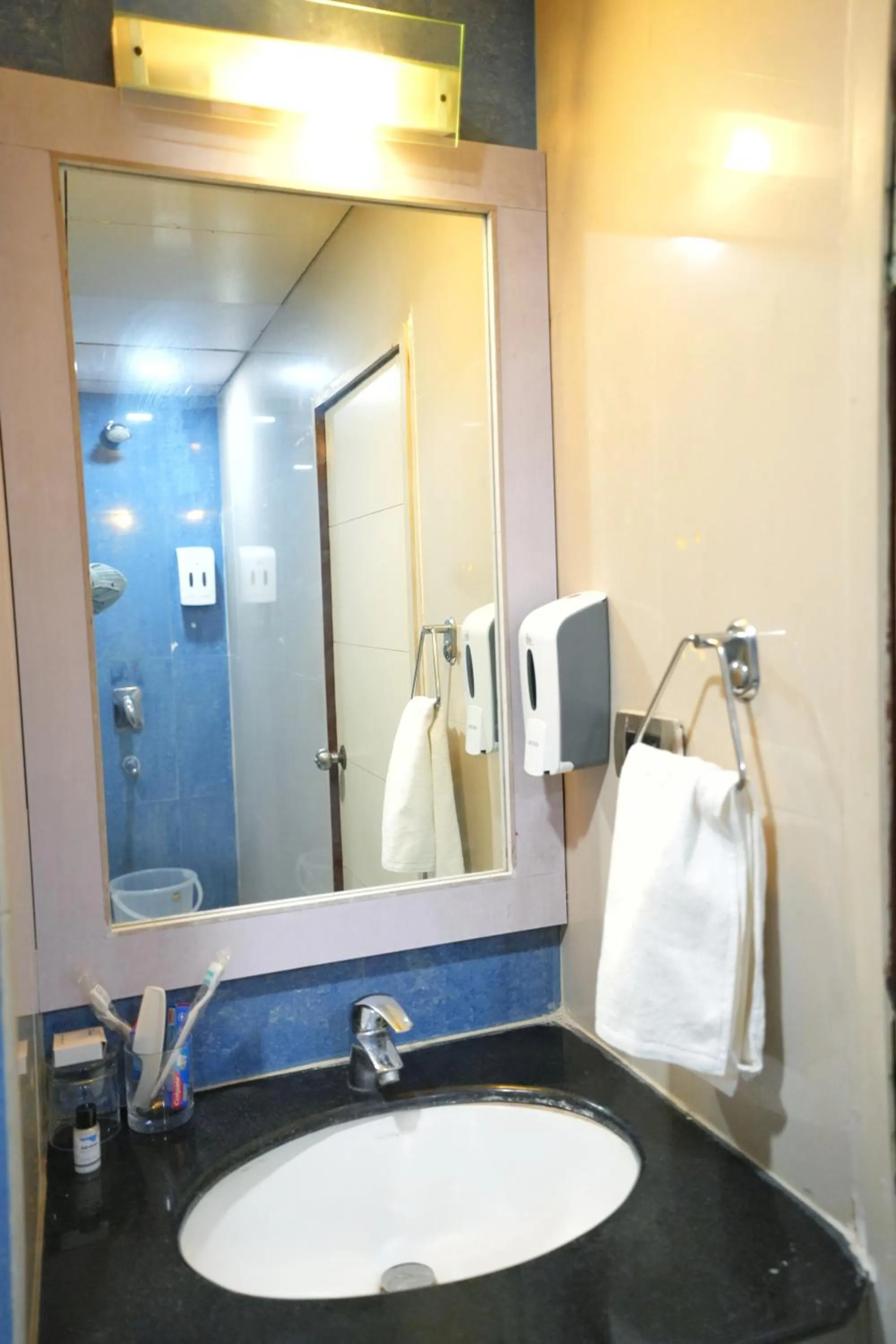 Bathroom in The Altruist One Continent