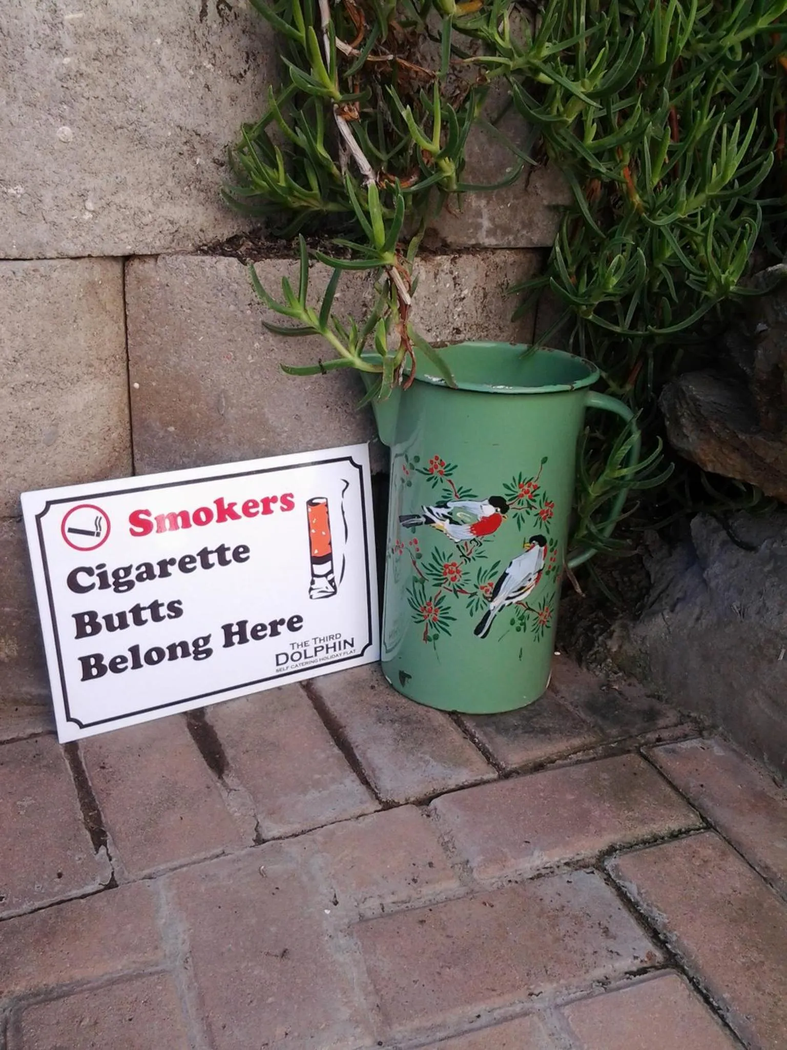 Garden in The Third Dolphin