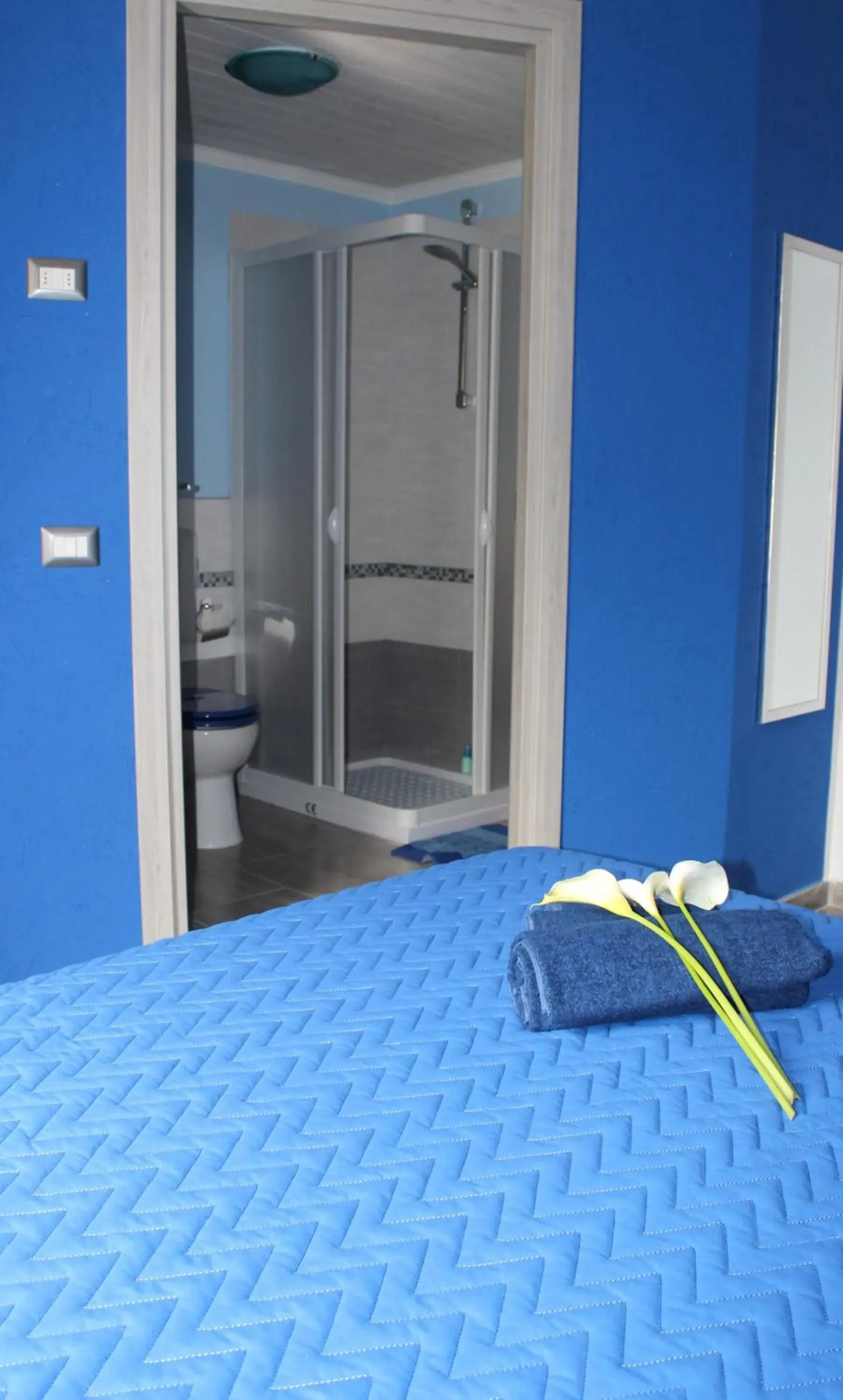 Double Room with Private Bathroom 2 in B&B Fontevecchia Double Room with Private Bathroom 2 in B&B Fontevecchia