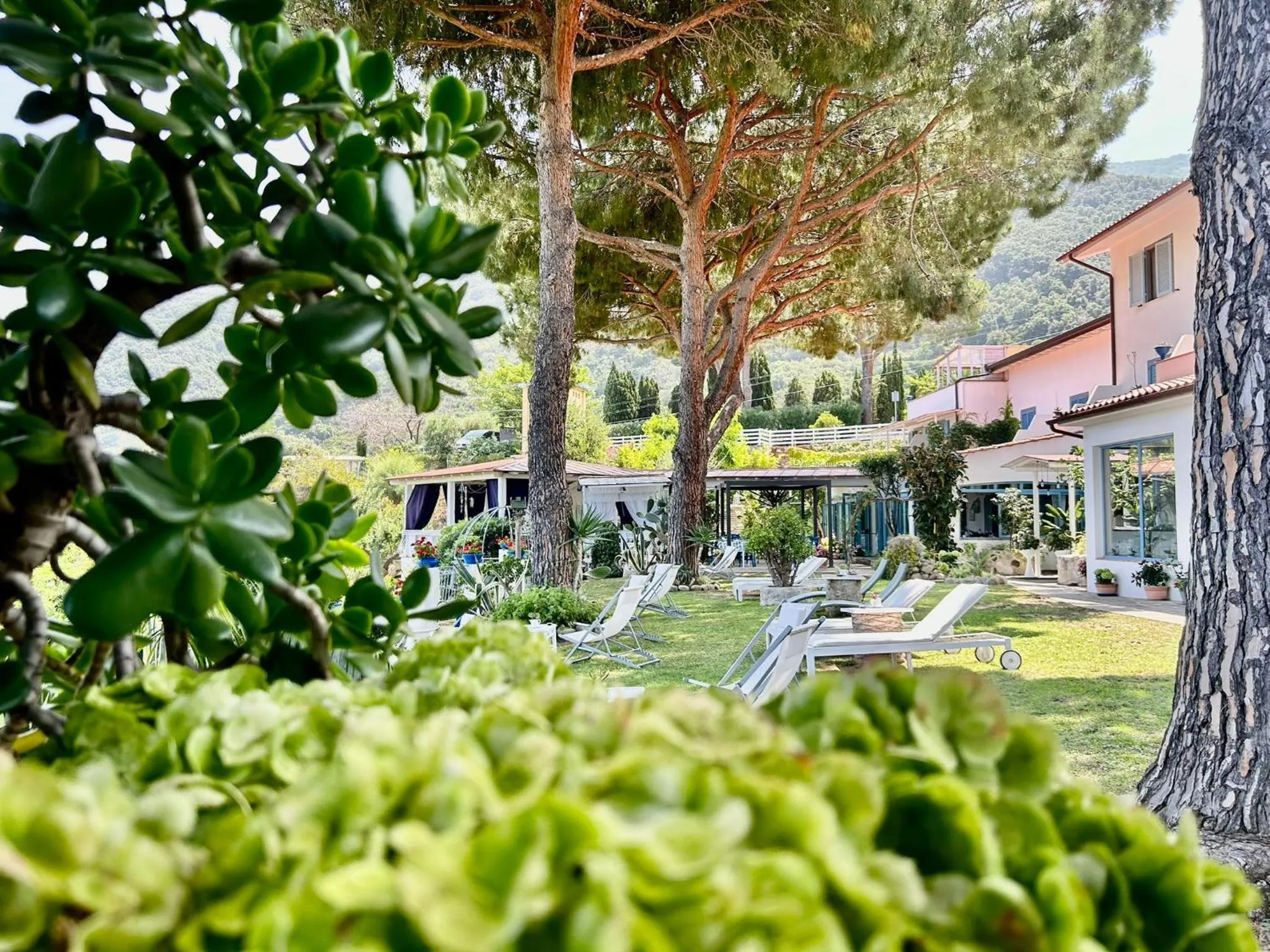 Natural landscape in Hotel Sant'Andrea