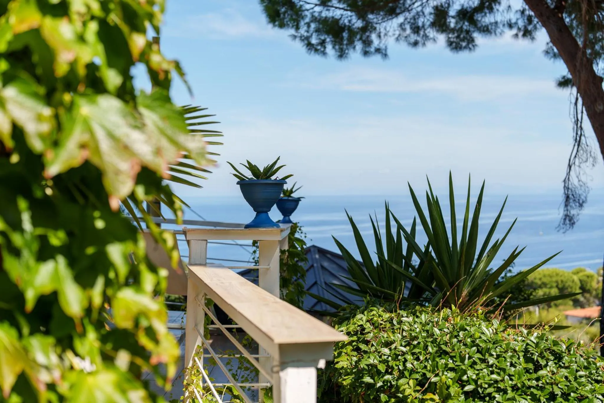 Garden in Hotel Sant'Andrea