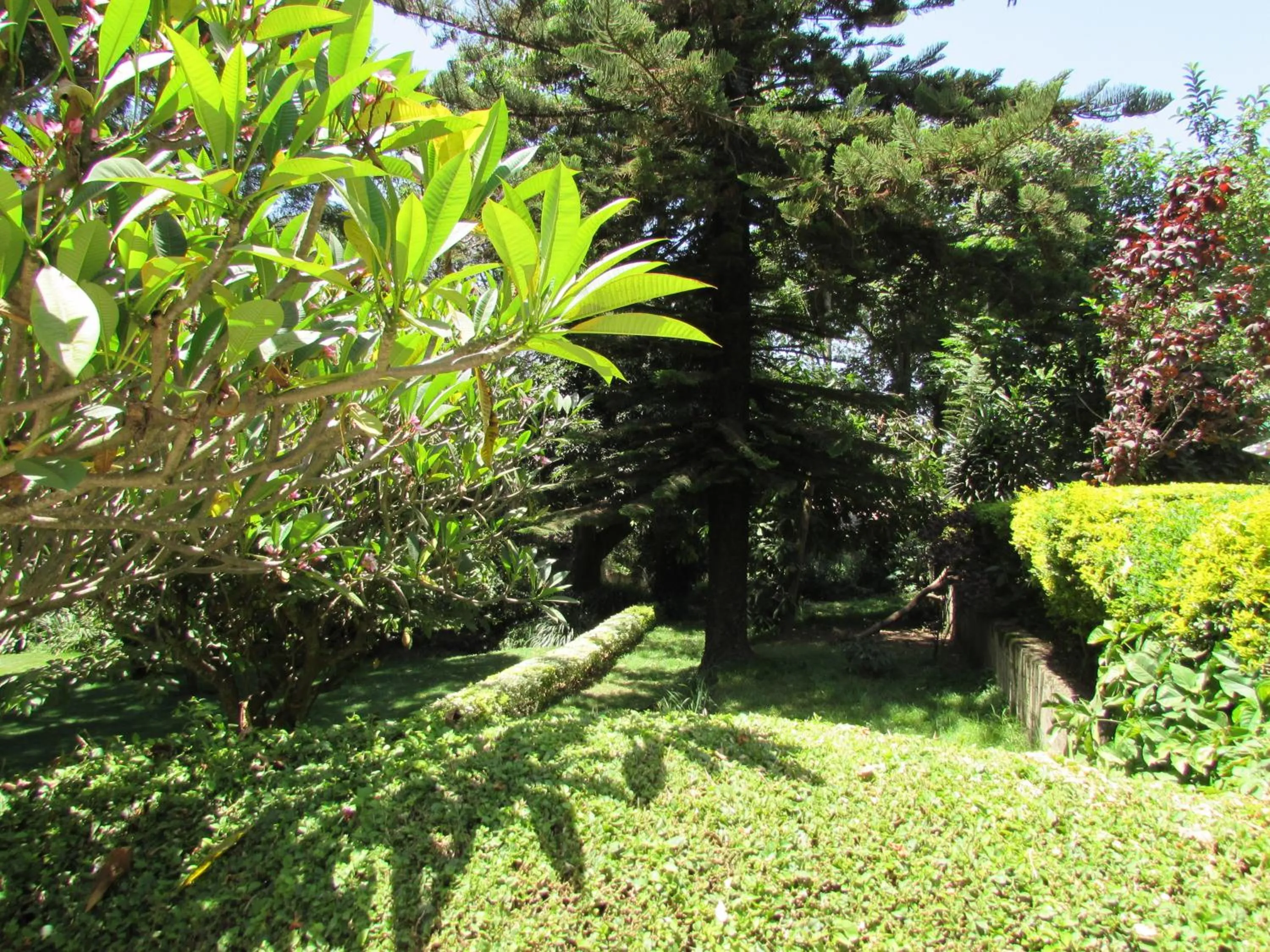 Garden in Equator Hotel